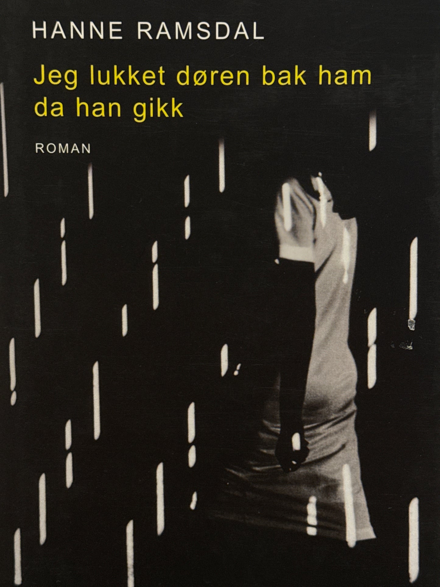 Jeg lukket døren bak ham da han gikk - Innbundet