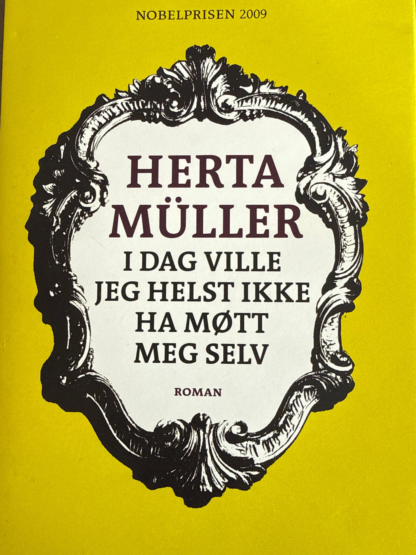 I dag ville jeg helst ikke ha møtt meg selv - Innbundet