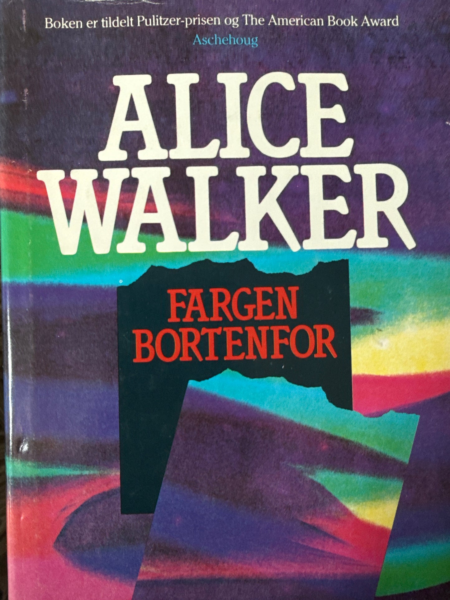 Fargen bortenfor - Innbundet