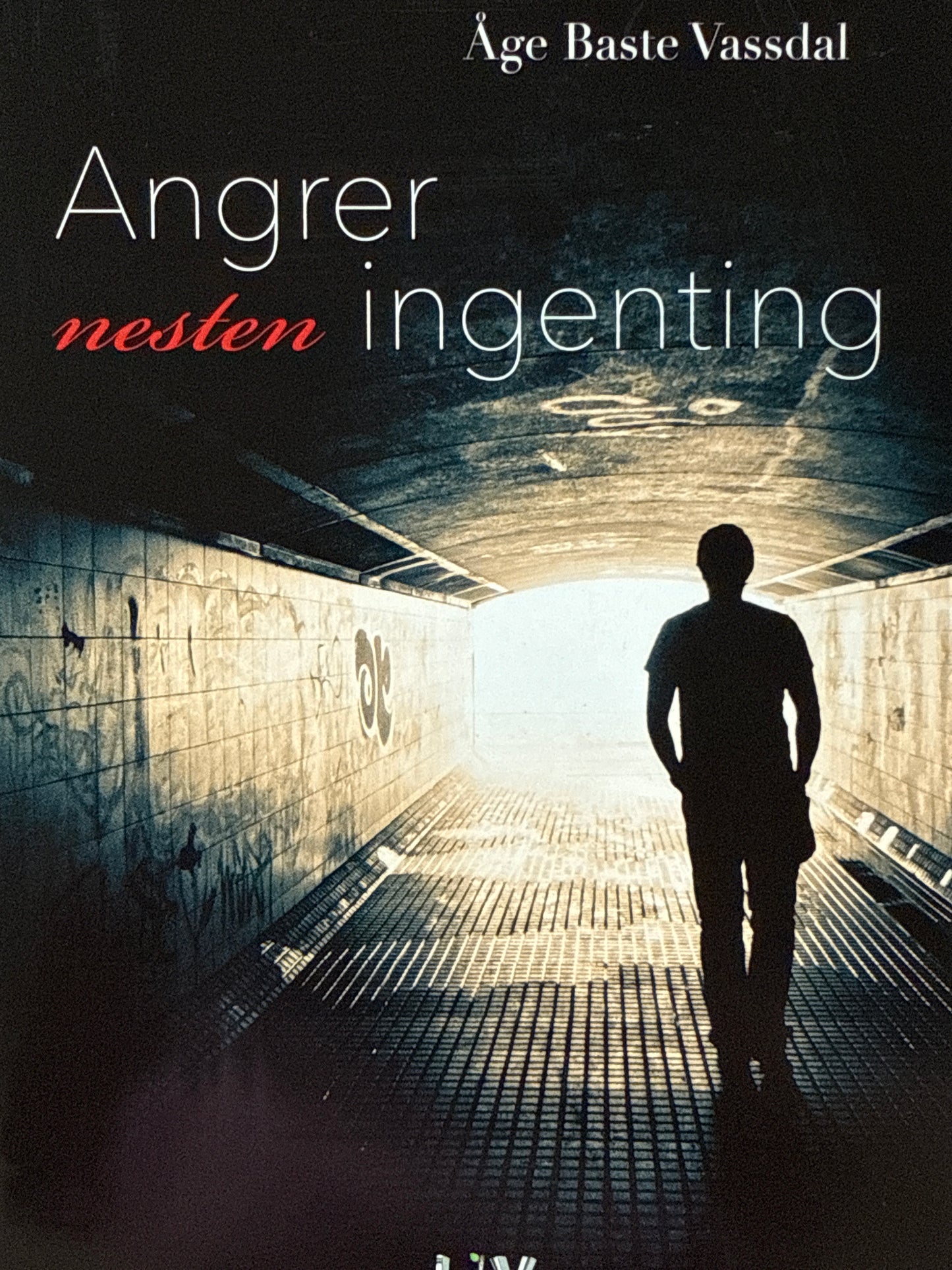 Angrer nesten ingenting - Innbundet