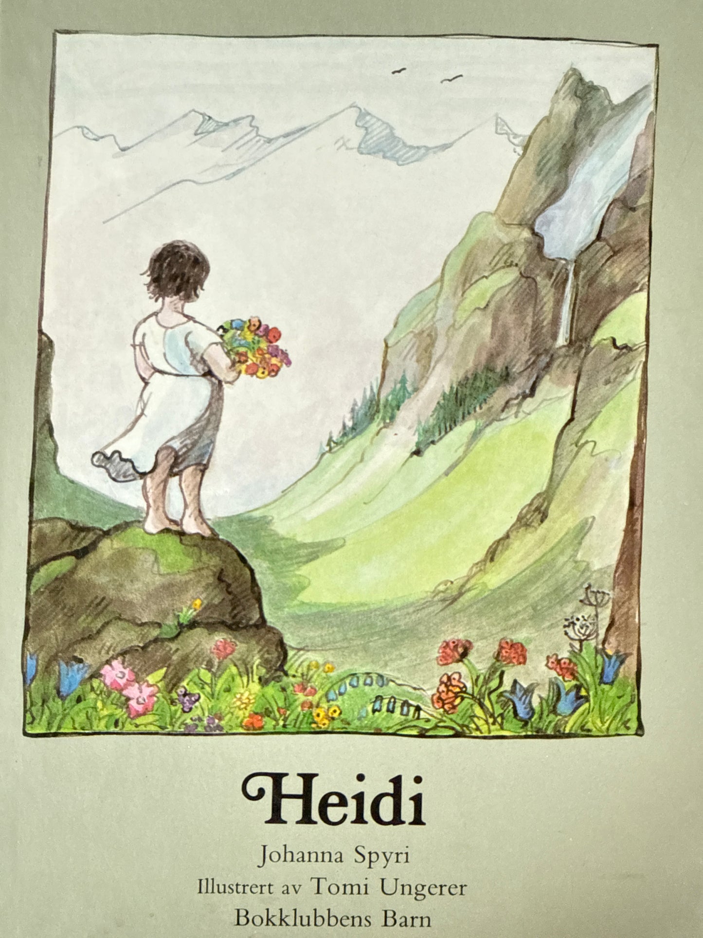 Heidi - Innbundet