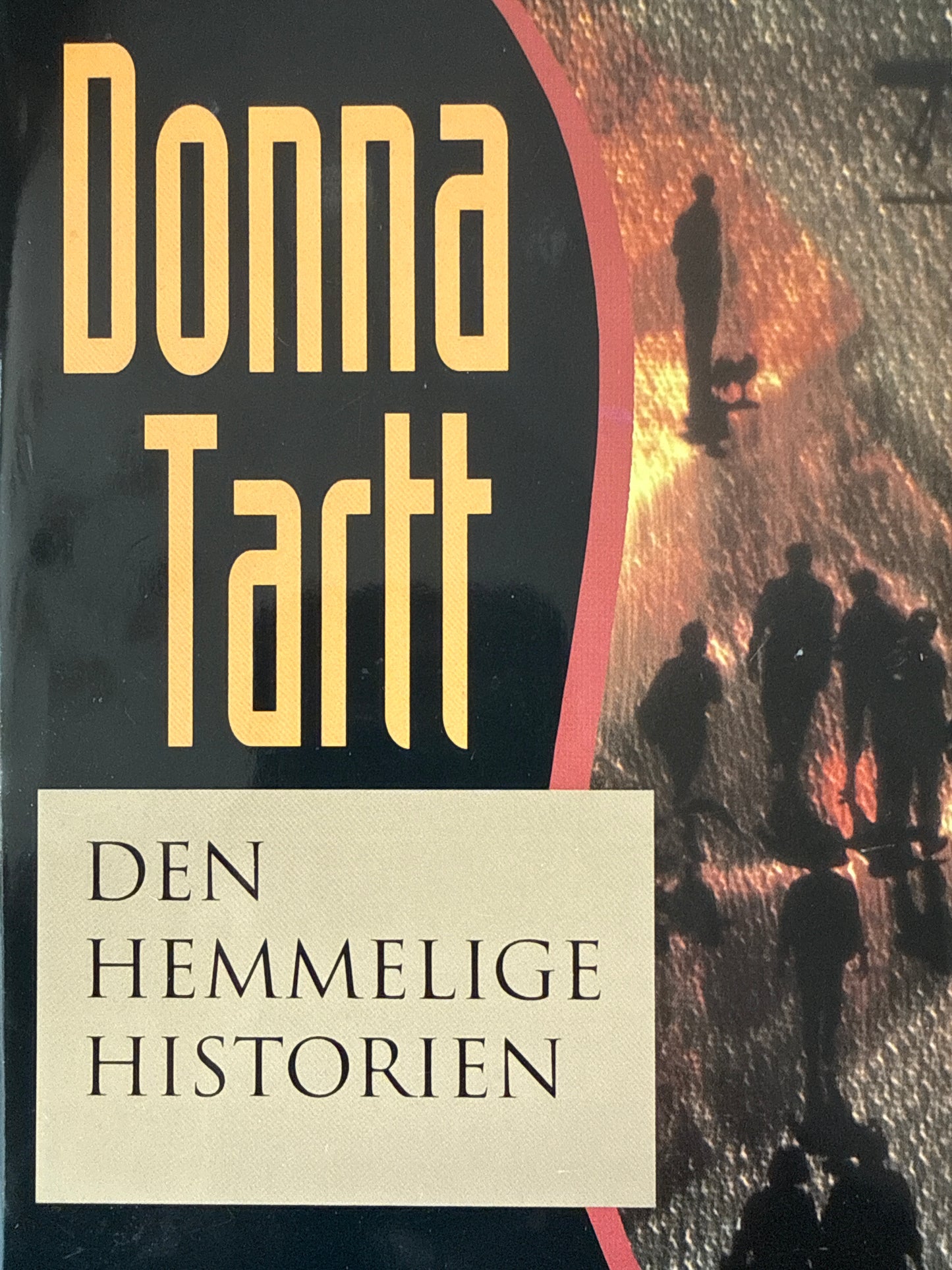 Den hemmelige historien - Innbundet