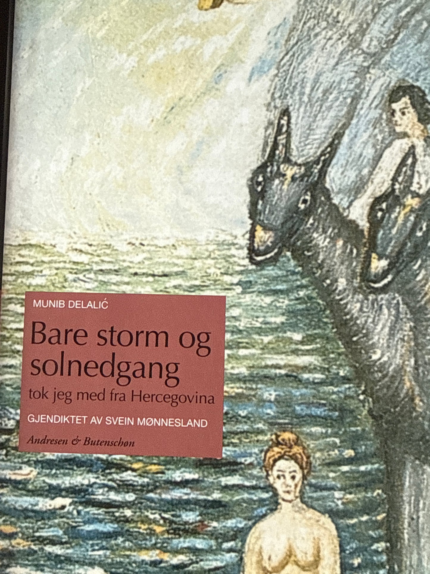 Bare storm og solnedgang tok jeg med fra Hercegovina - Innbundet