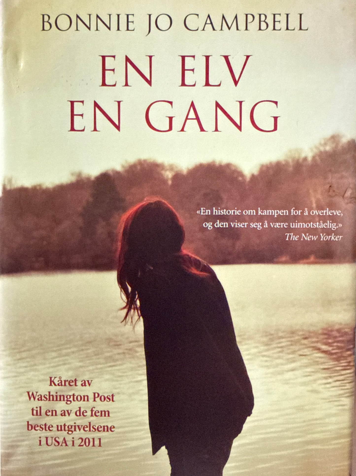 En elv en gang - Innbundet