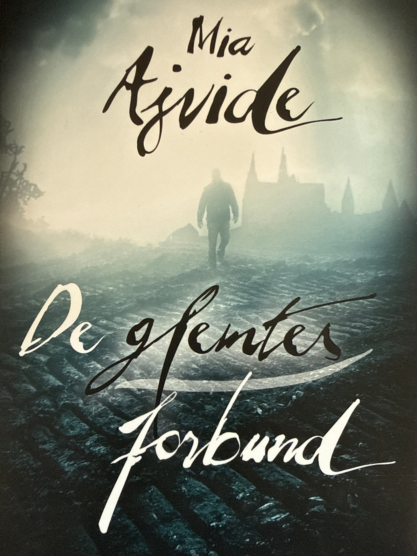 De glemtes forbund - Innbundet