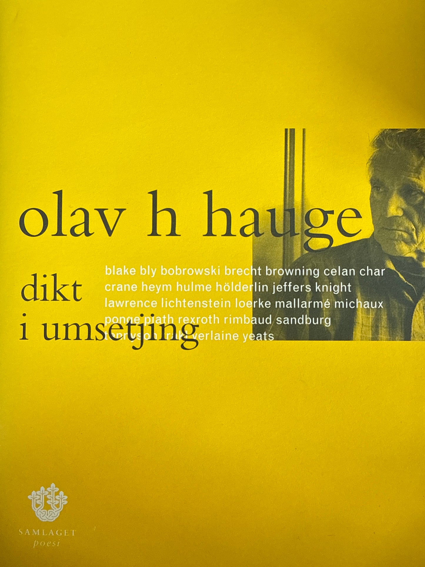 Dikt i umsetjing - Innbundet
