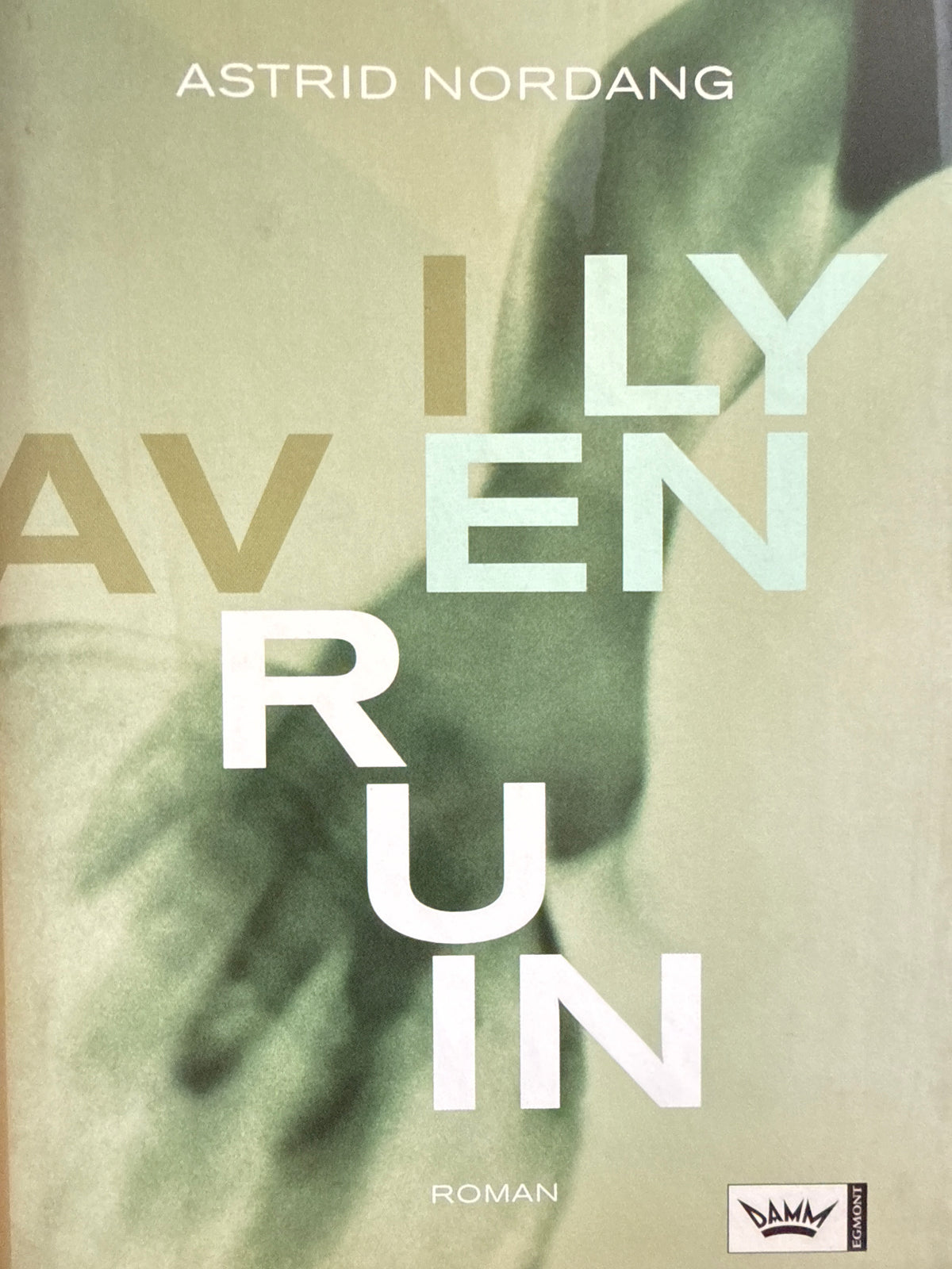 I ly av en ruin - Innbundet