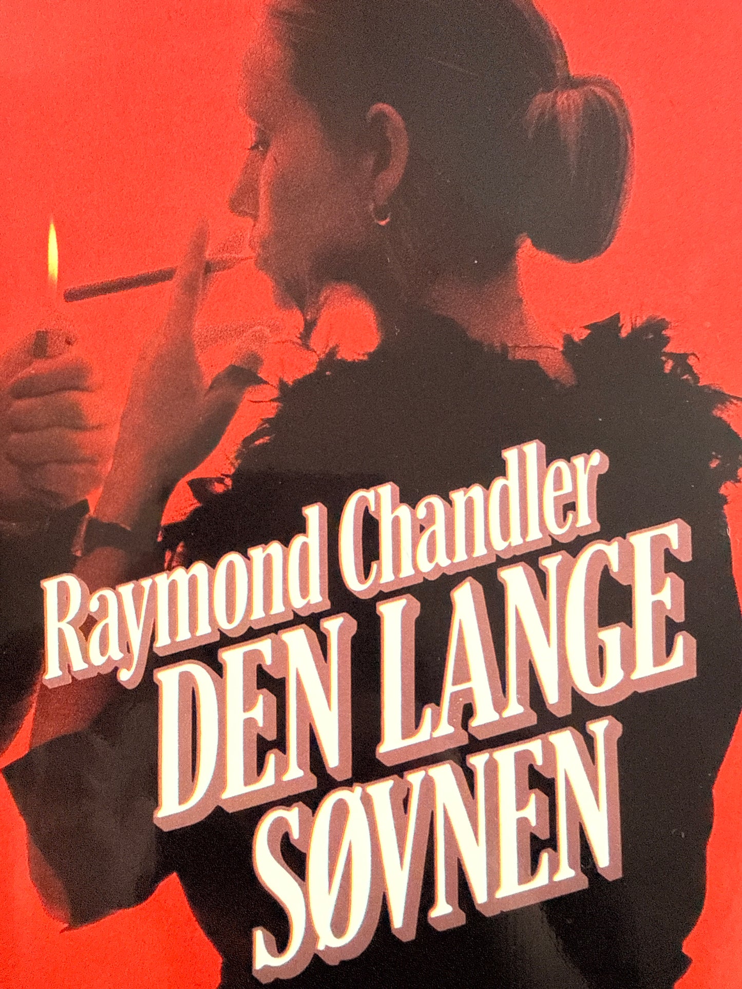 Den lange søvnen - Innbundet