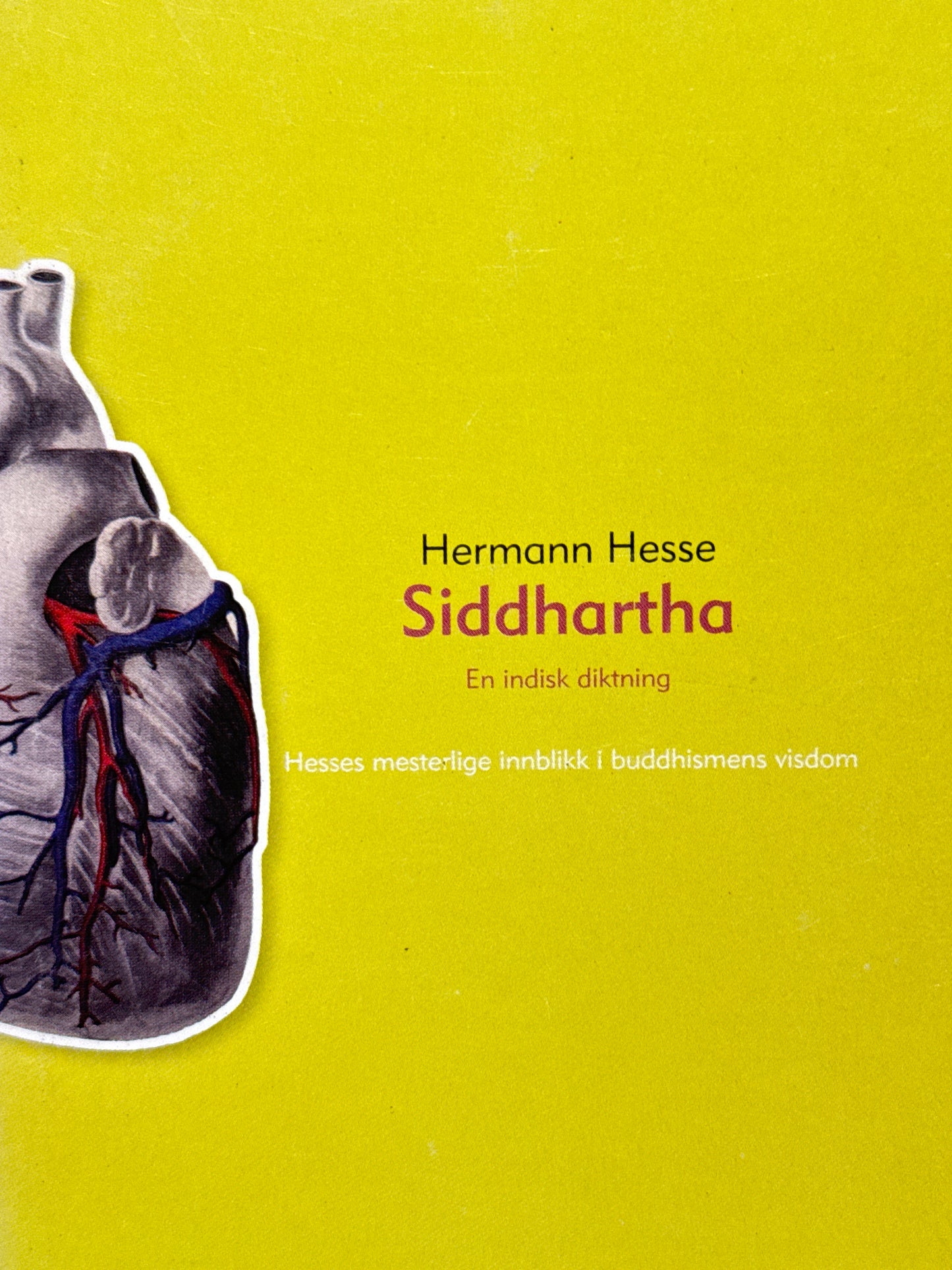 Siddhartha - Pocket