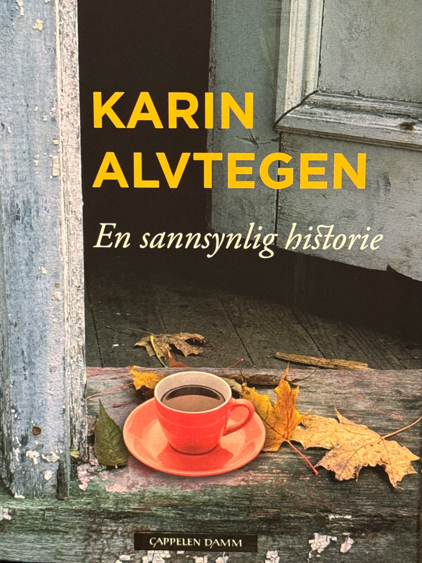 En sannsynlig historie - Innbundet
