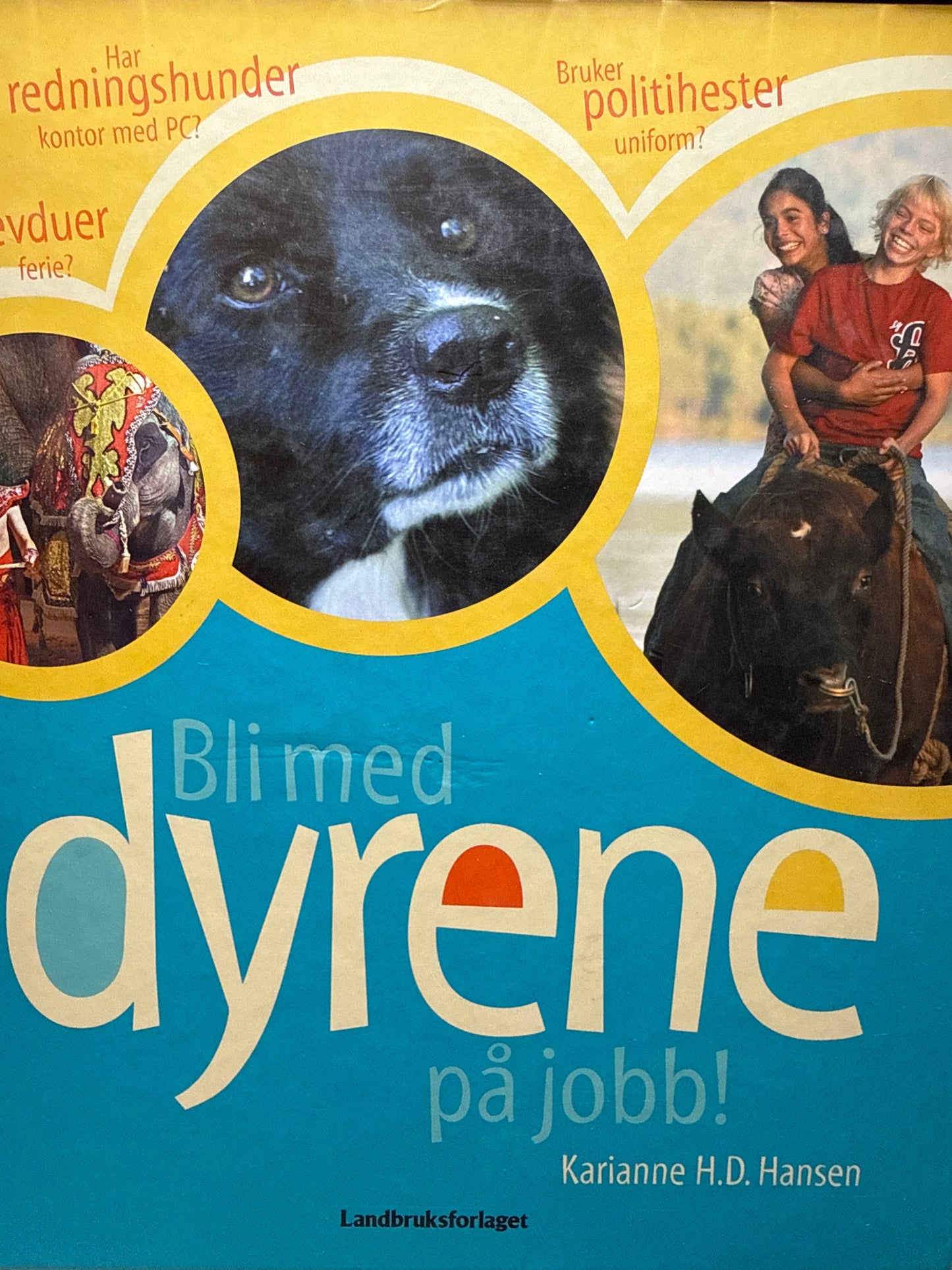 Bli med dyrene på jobb! - Innbundet