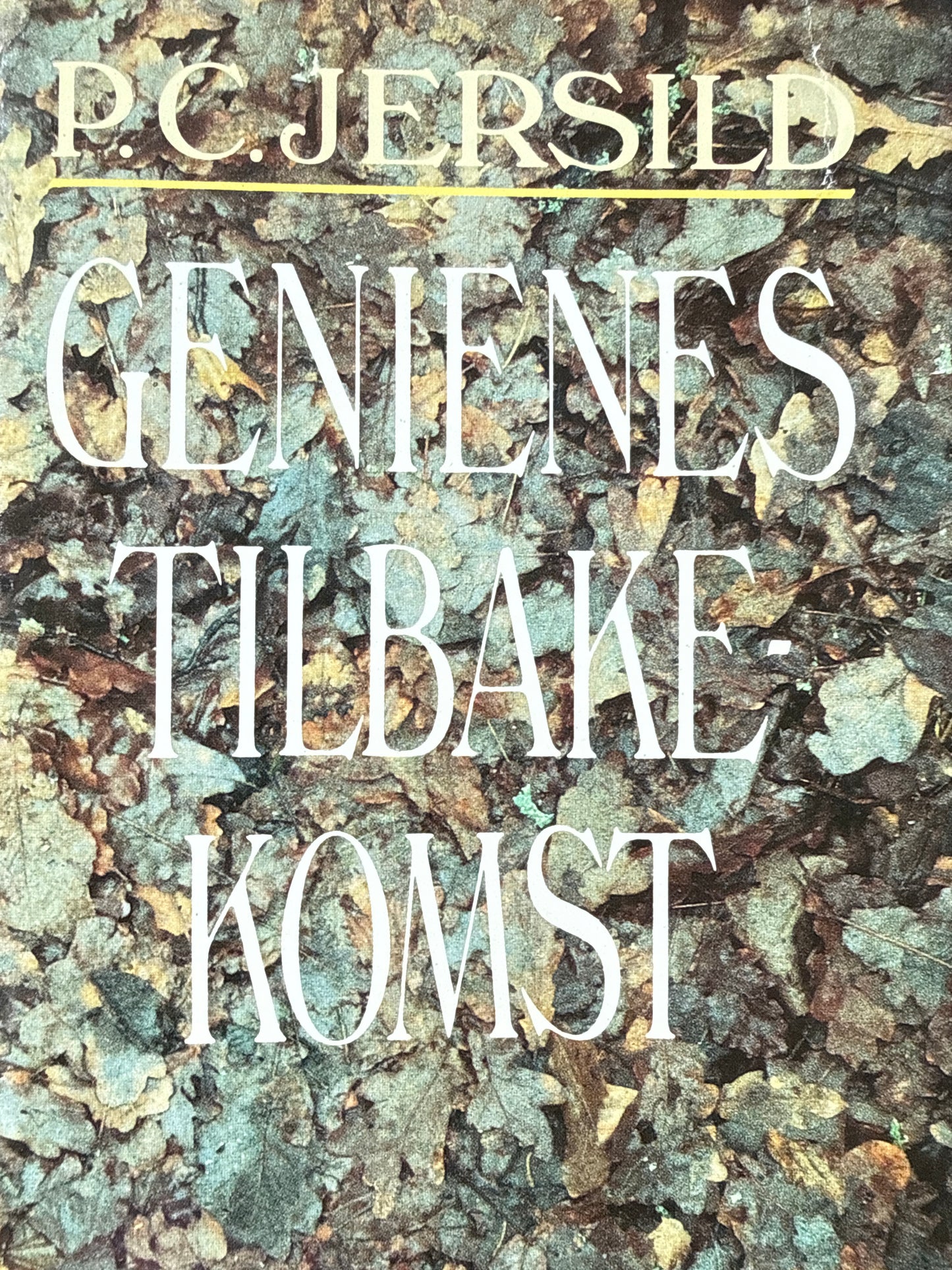 Genienes tilbakekomst - Innbundet