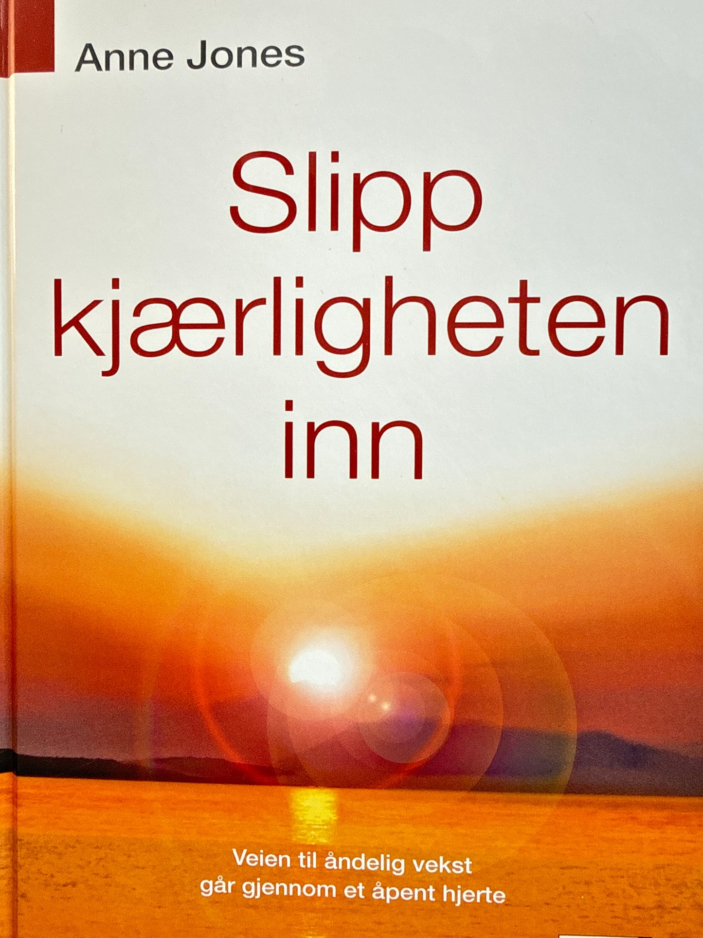 Slipp kjærligheten inn - Innbundet