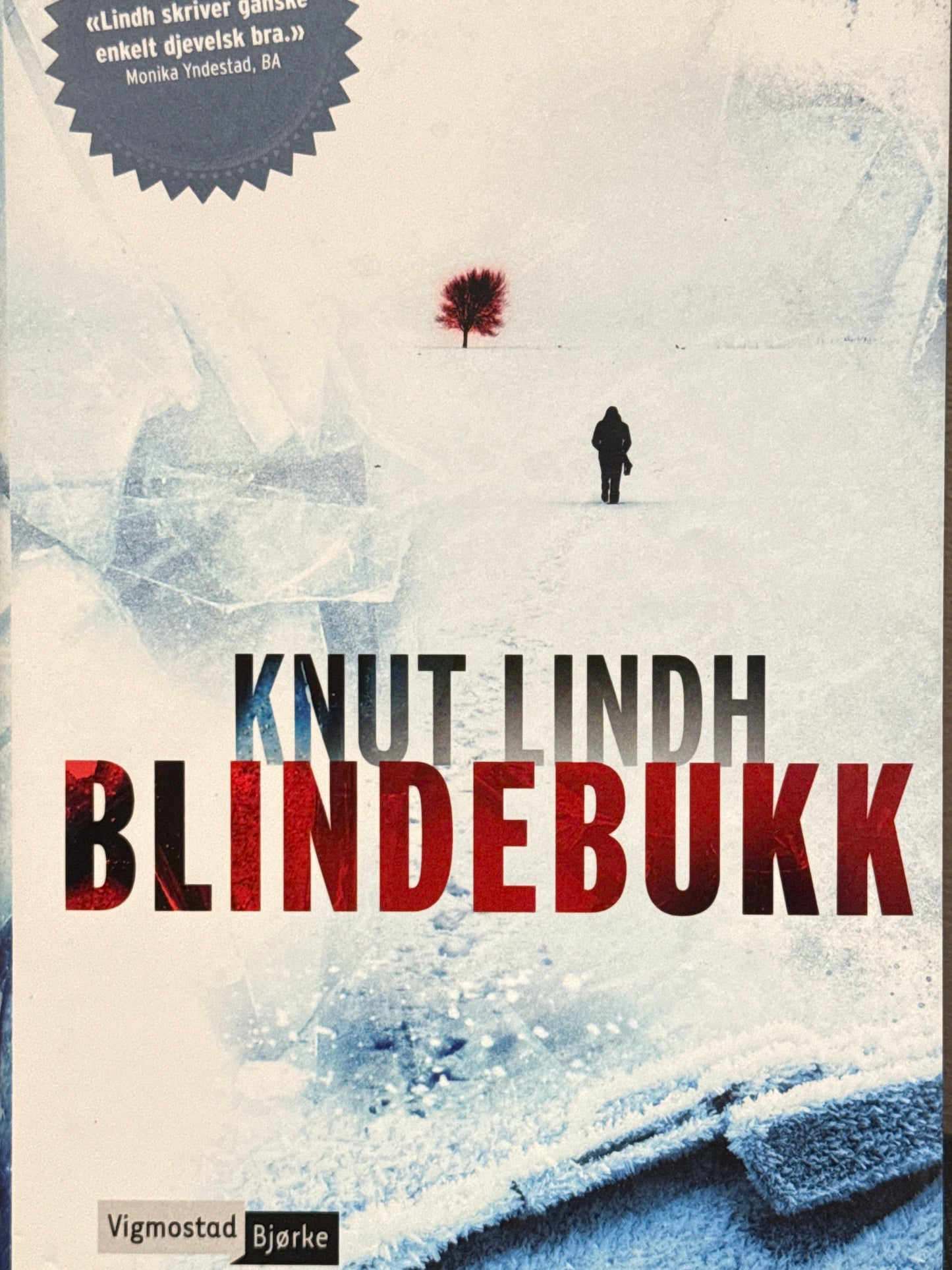 Blindebukk - Innbundet