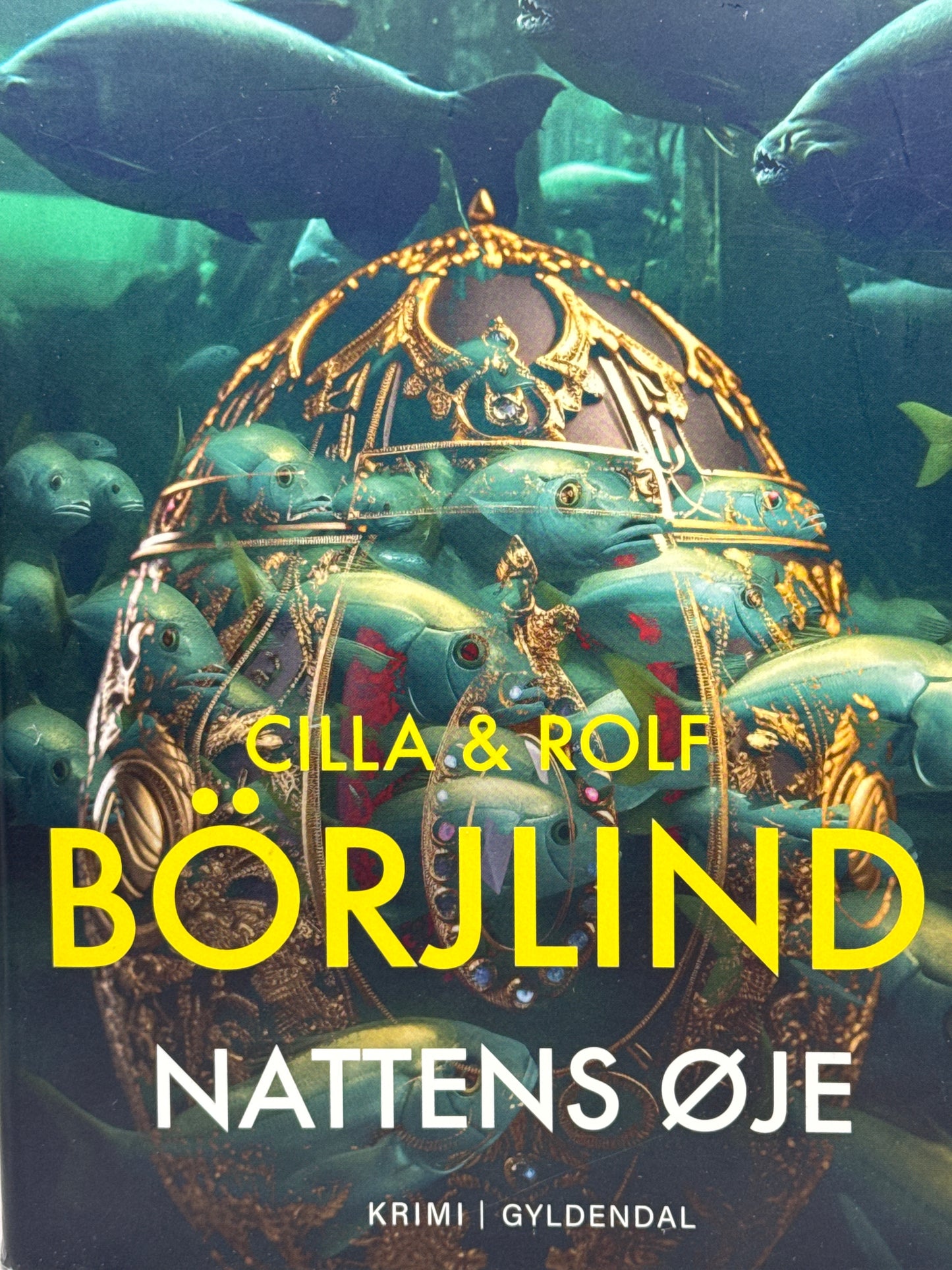 Nattens øje - Innbundet