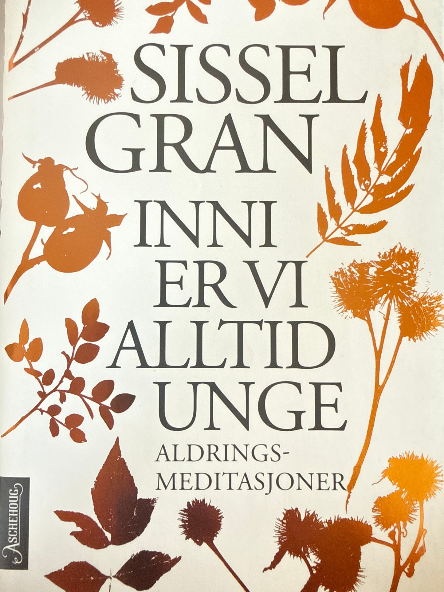 Inni er vi alltid unge - Innbundet