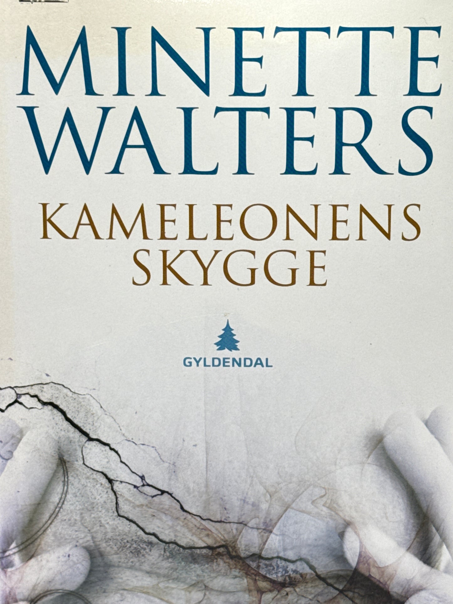 Kameleonens skygge - Innbundet