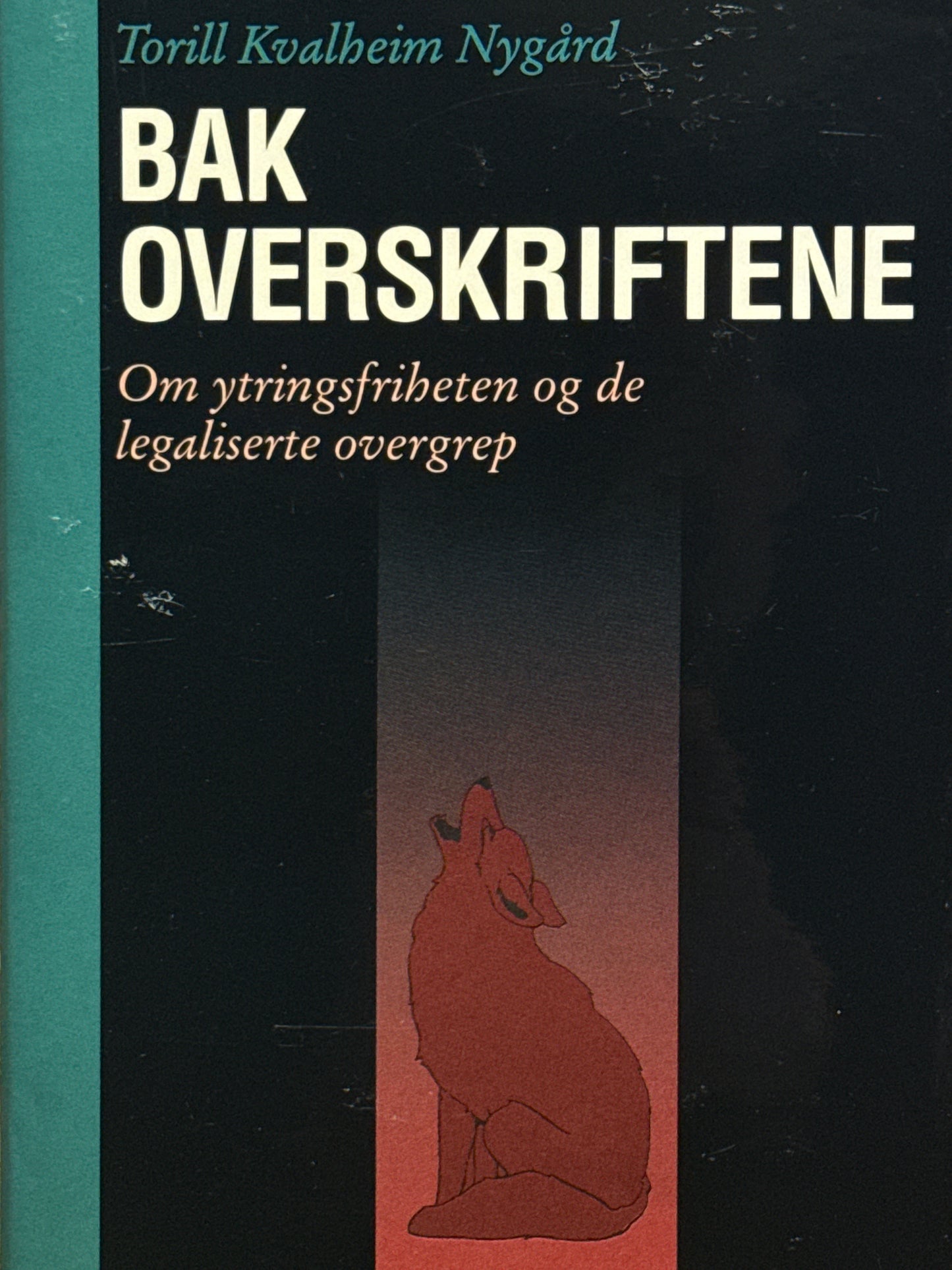 Bak overskriftene - Innbundet