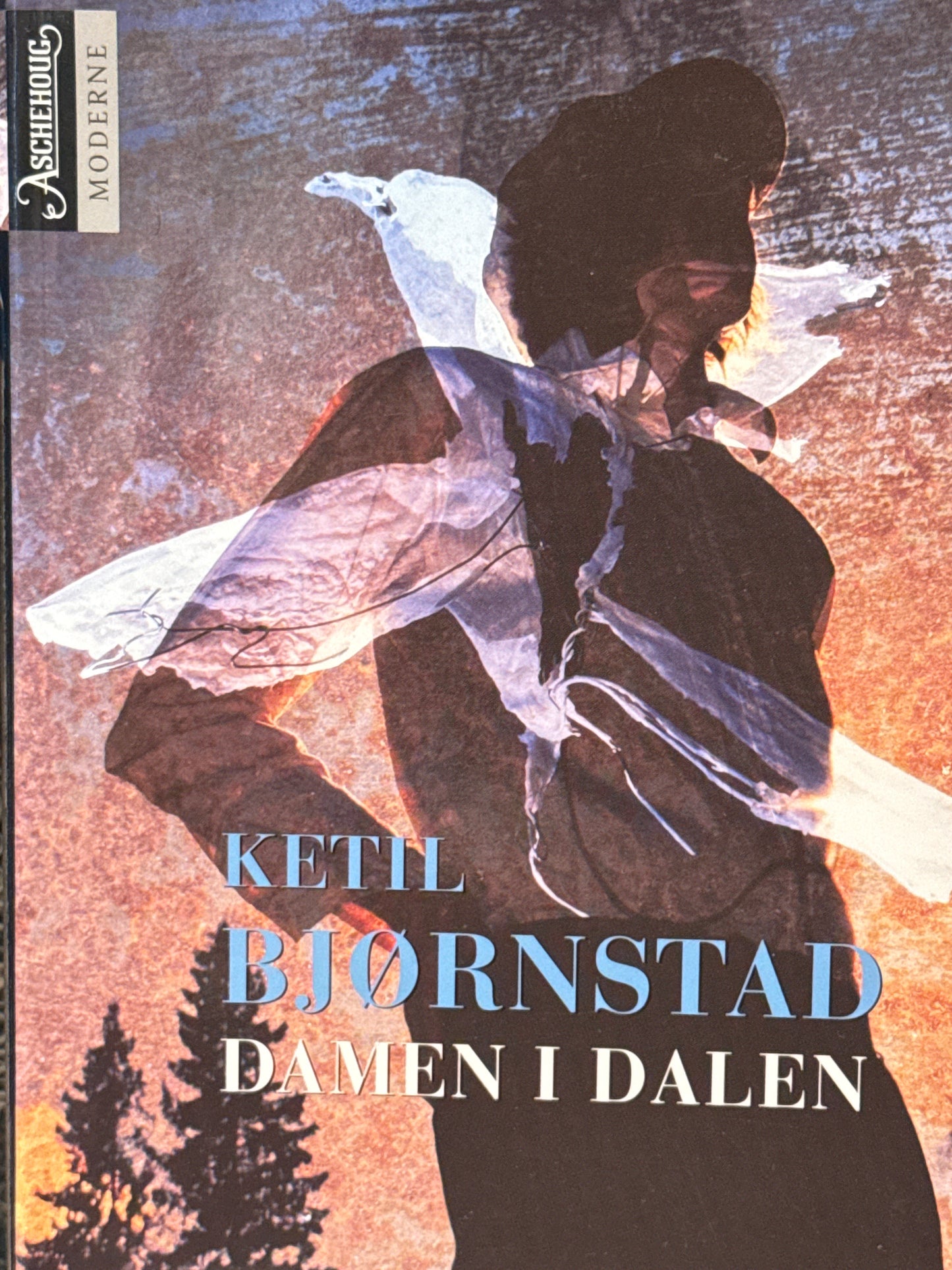 Damen i dalen - Pocket