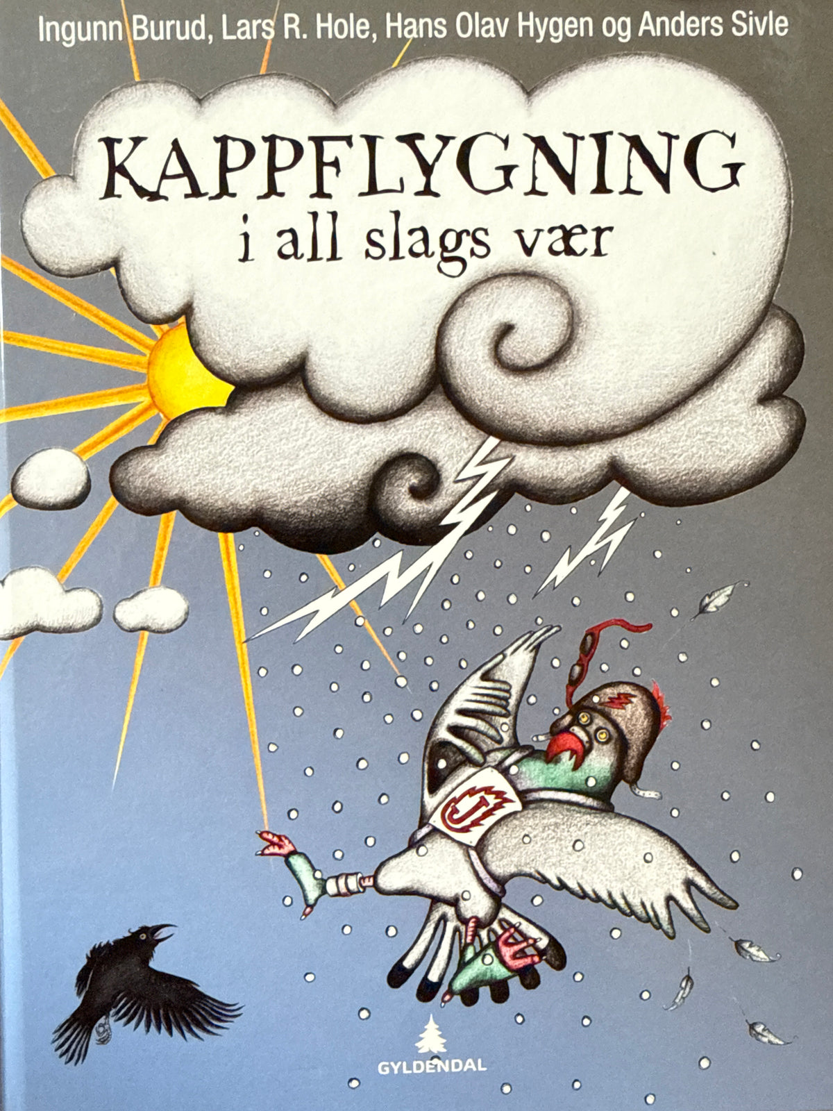 Kappflygning i all slags vær - Innbundet