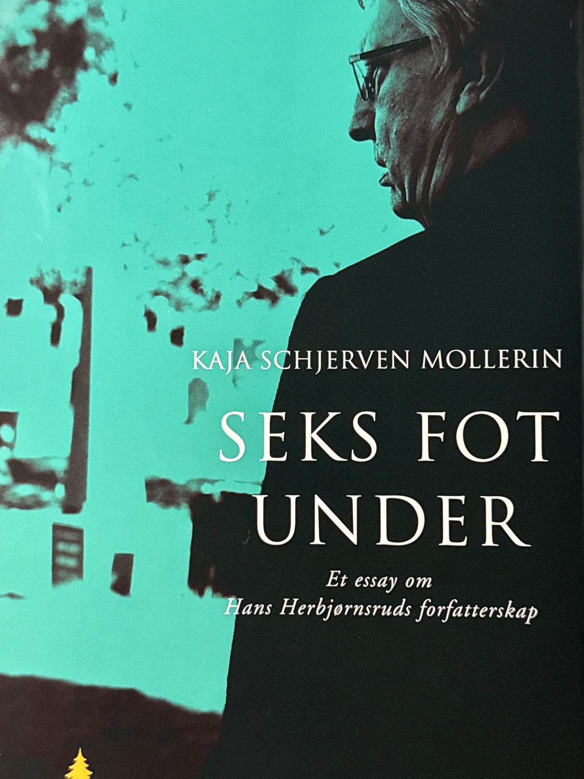 Seks fot under - Innbundet