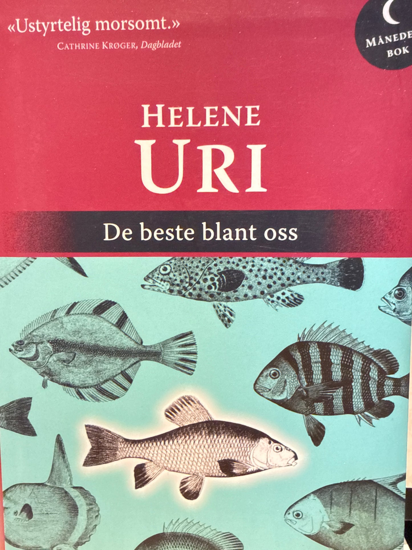 De beste blant oss - Pocket