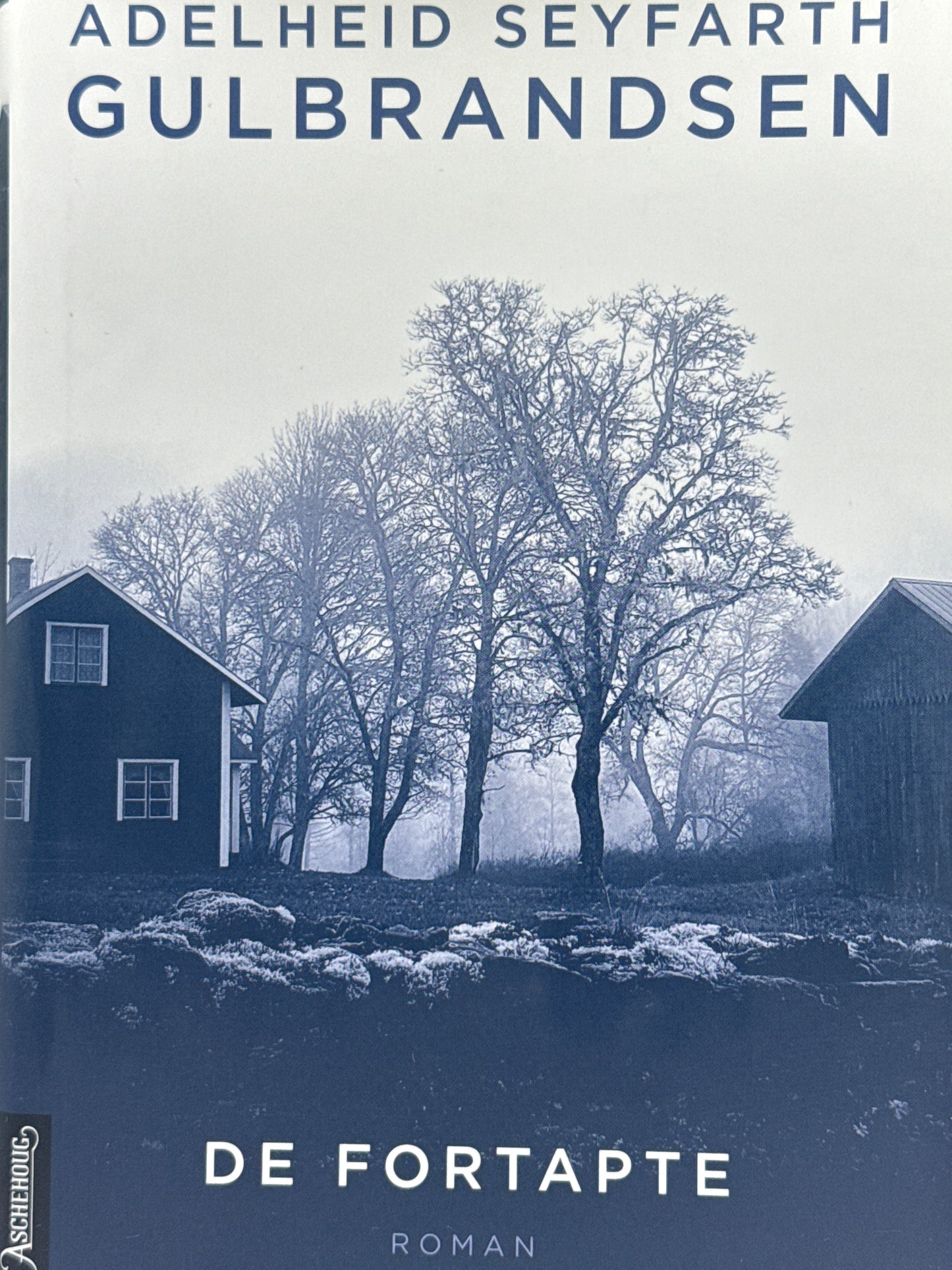 De fortapte - Innbundet
