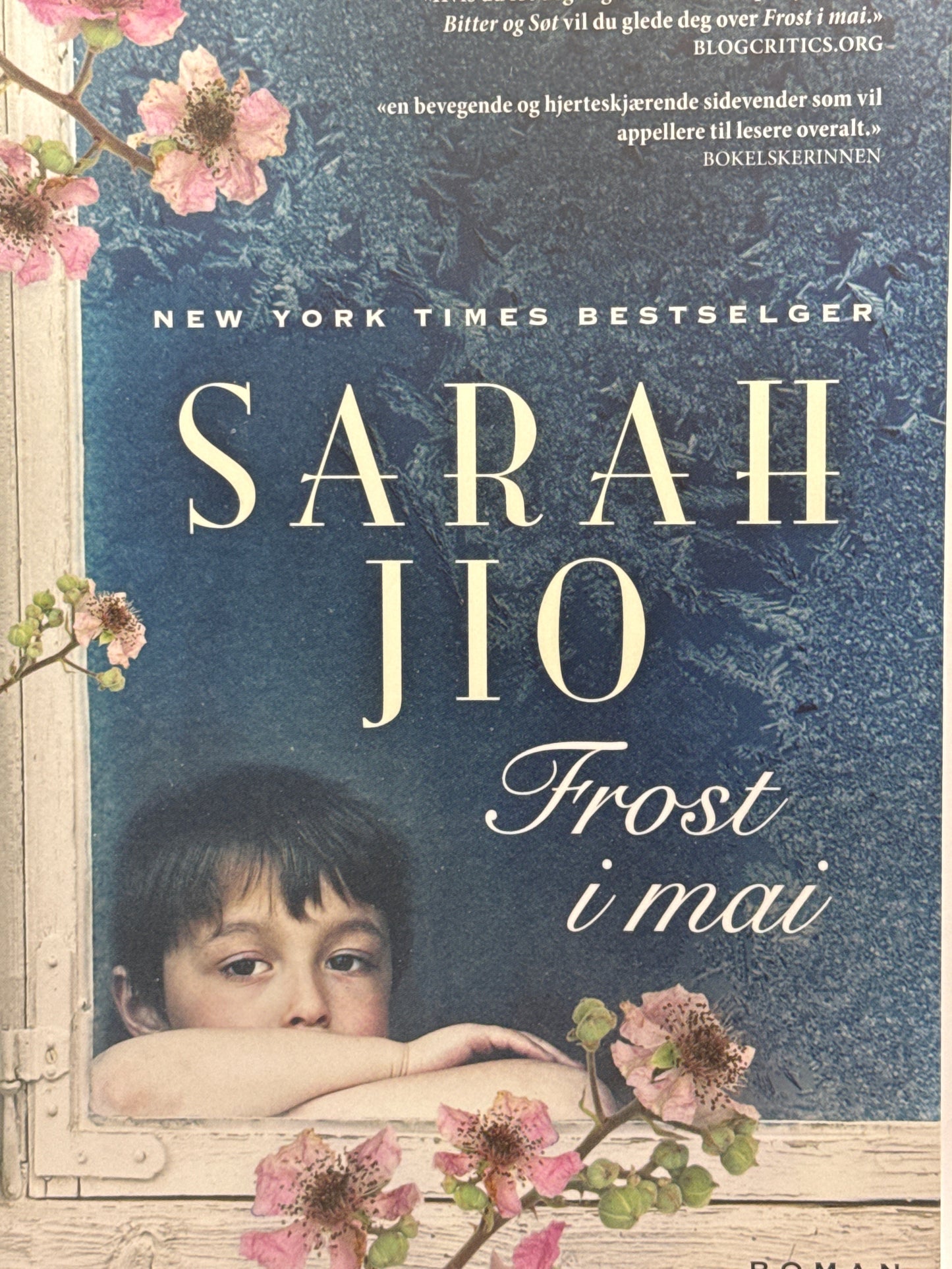 Frost i mai - Pocket
