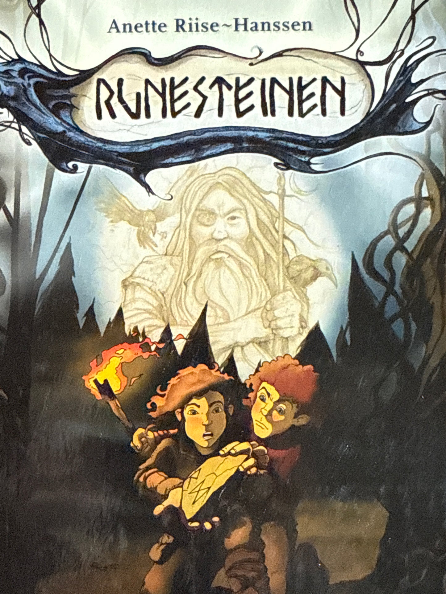 Runesteinen - Innbundet