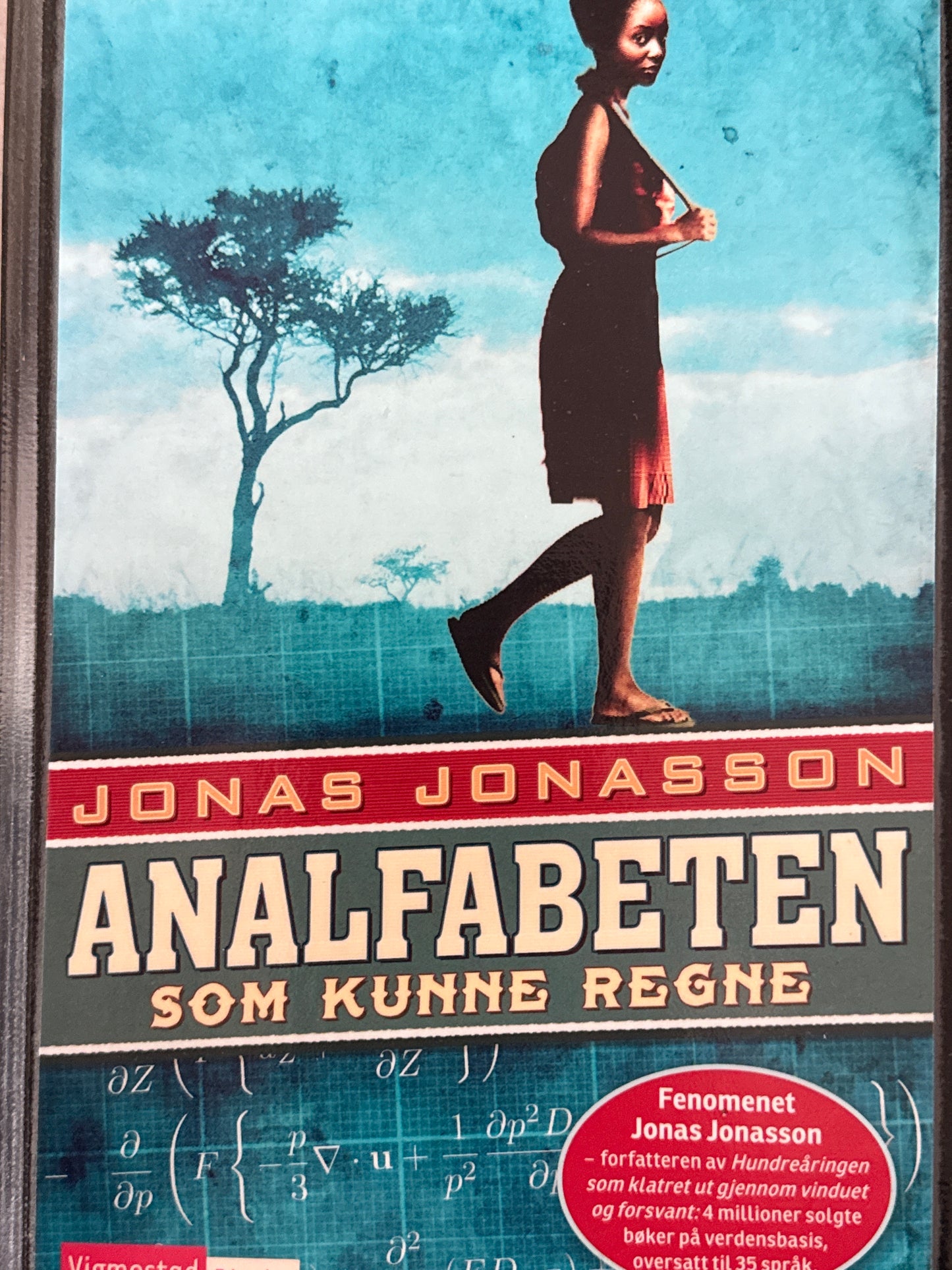 Analfabeten som kunne regne - Innbundet