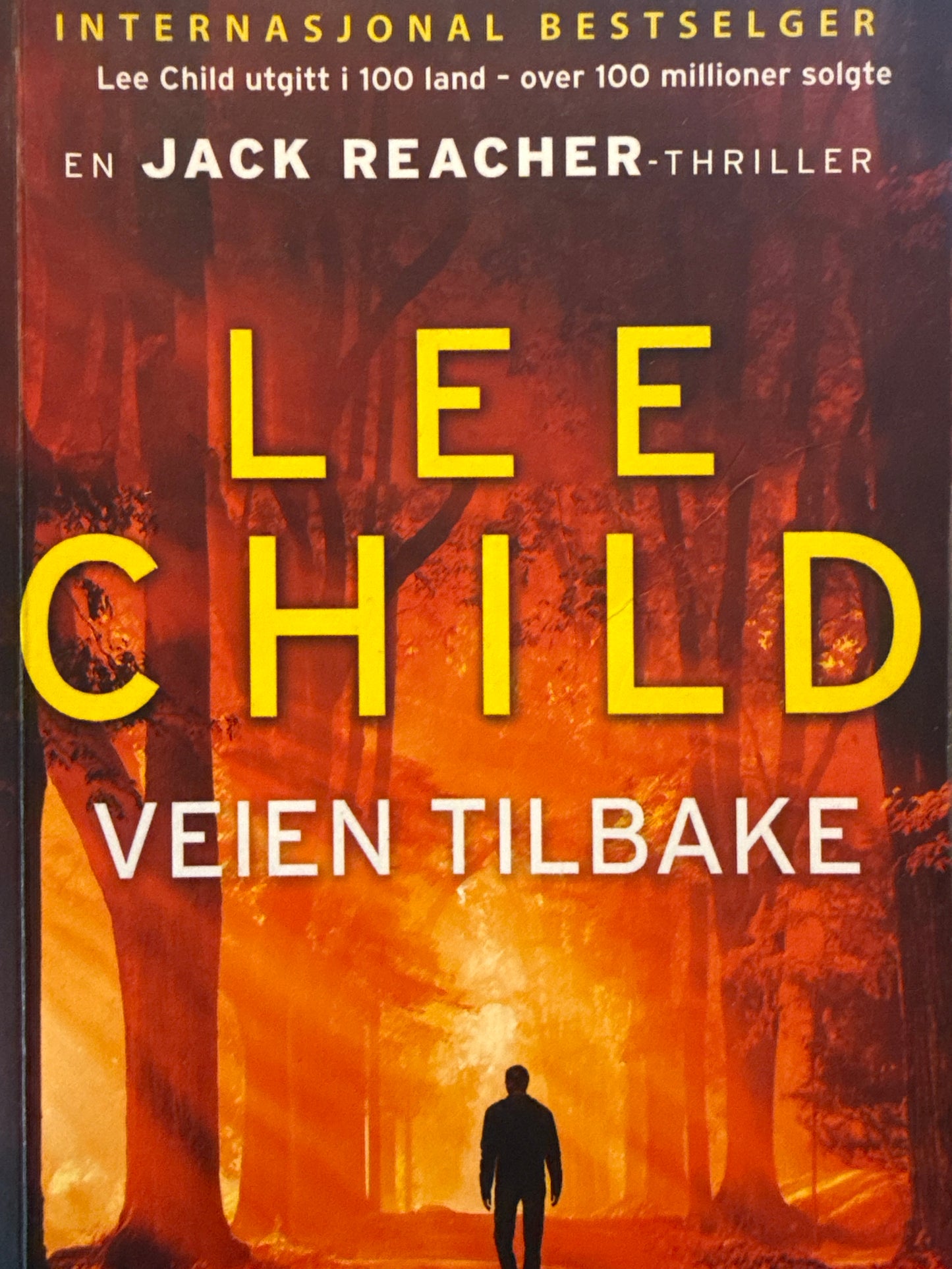 Veien tilbake - Pocket