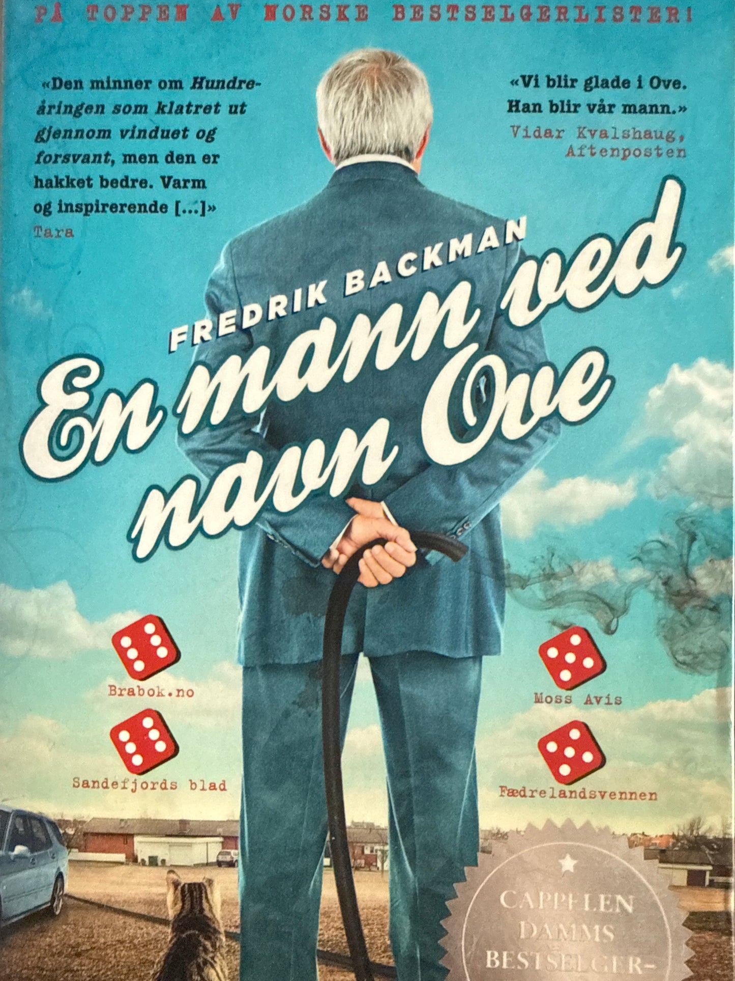 En mann ved navn Ove - Pocket
