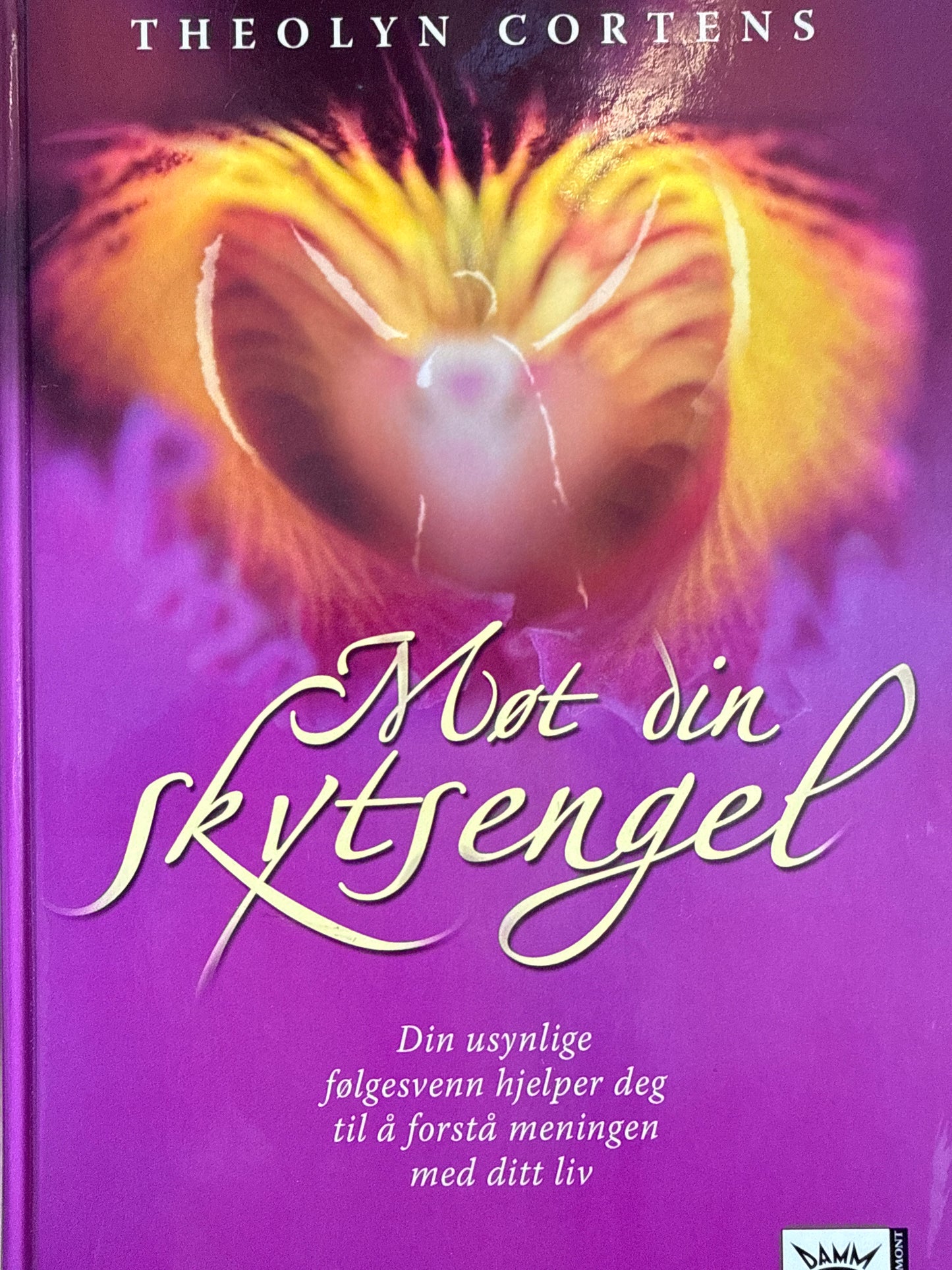 Møt din skytsengel - Innbundet
