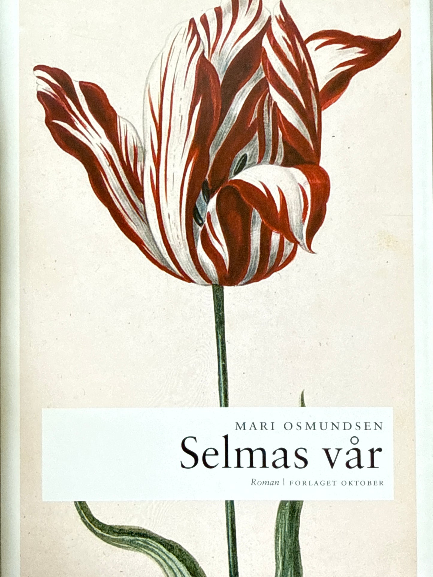 Selmas vår - Innbundet