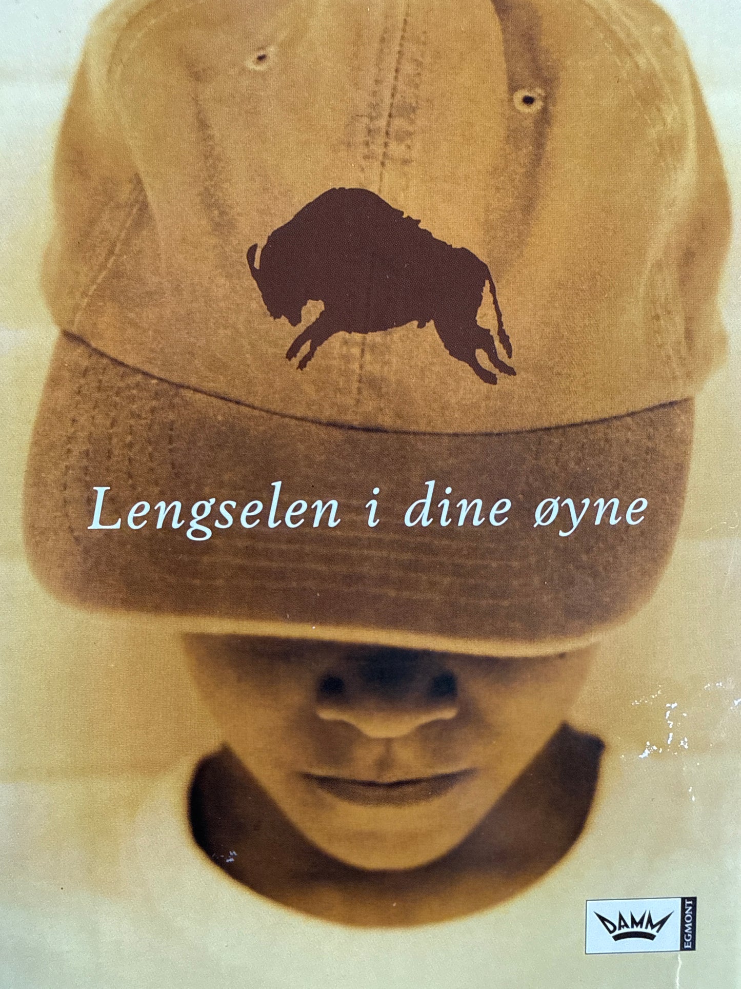 Lengselen i dine øyne - Innbundet