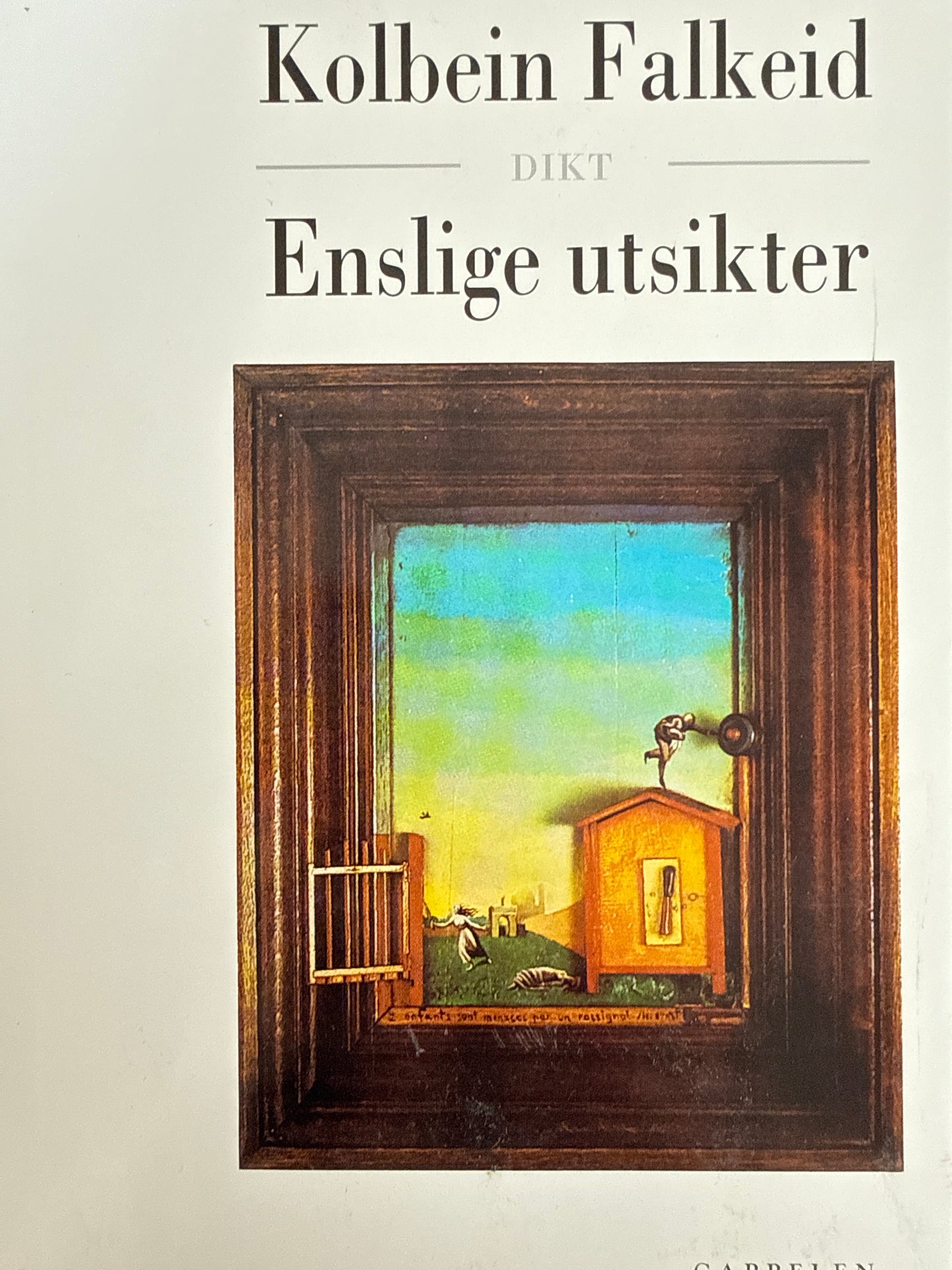 Enslige utsikter - Innbundet