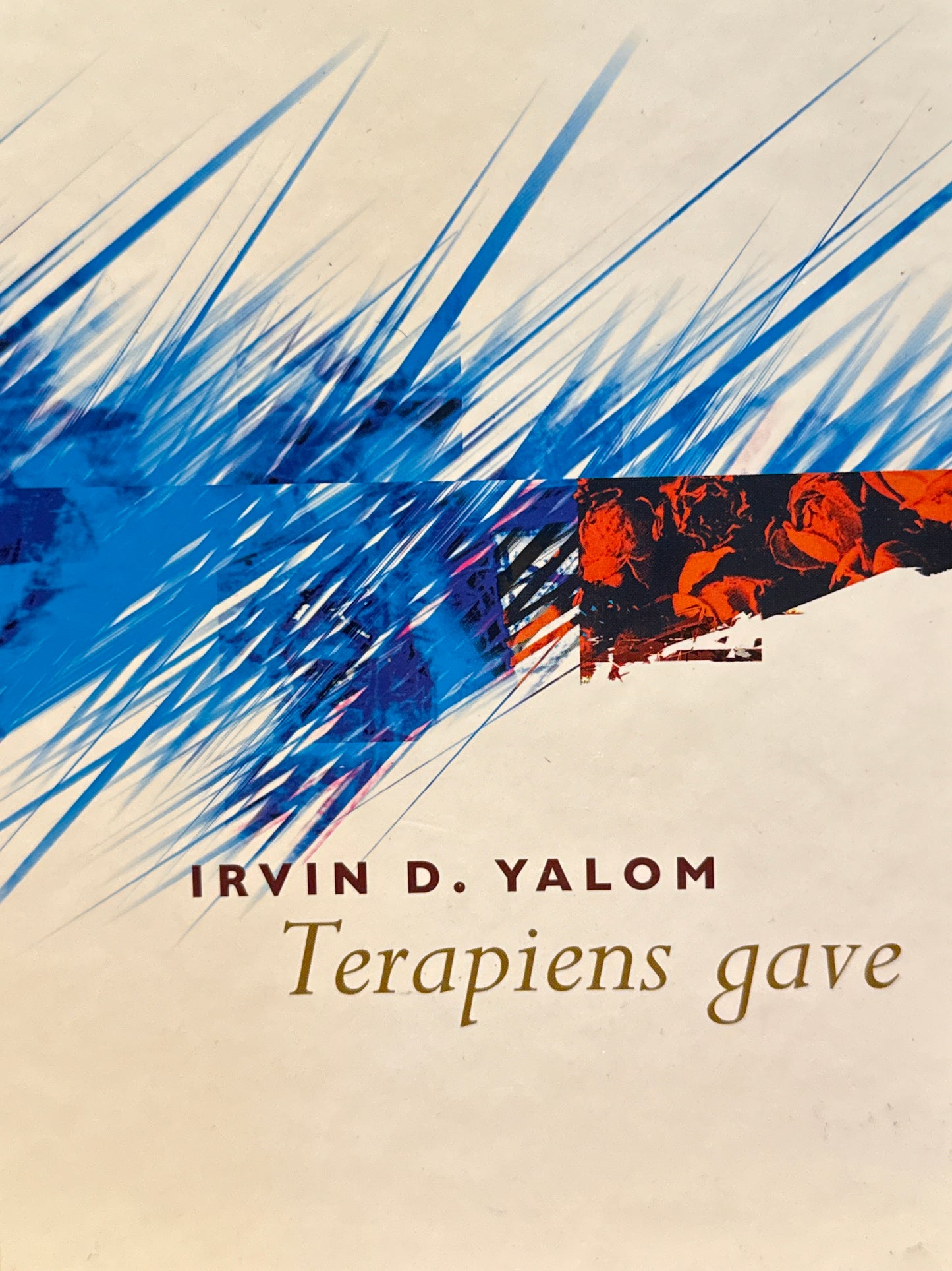 Terapiens gave - Innbundet