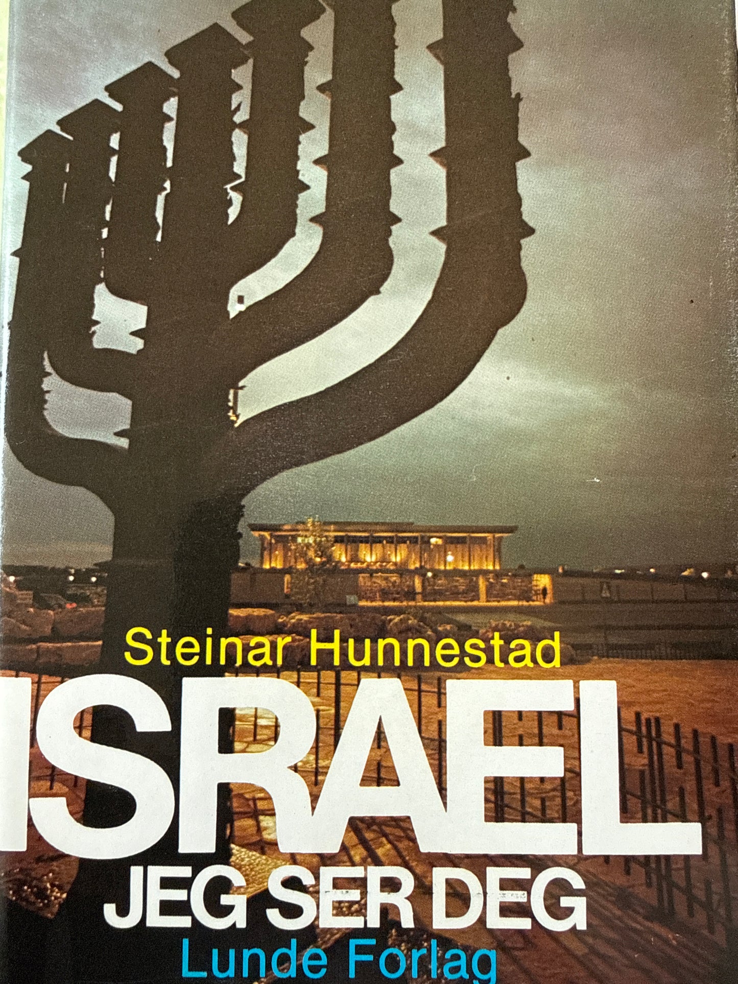 Israel jeg ser deg - Innbundet