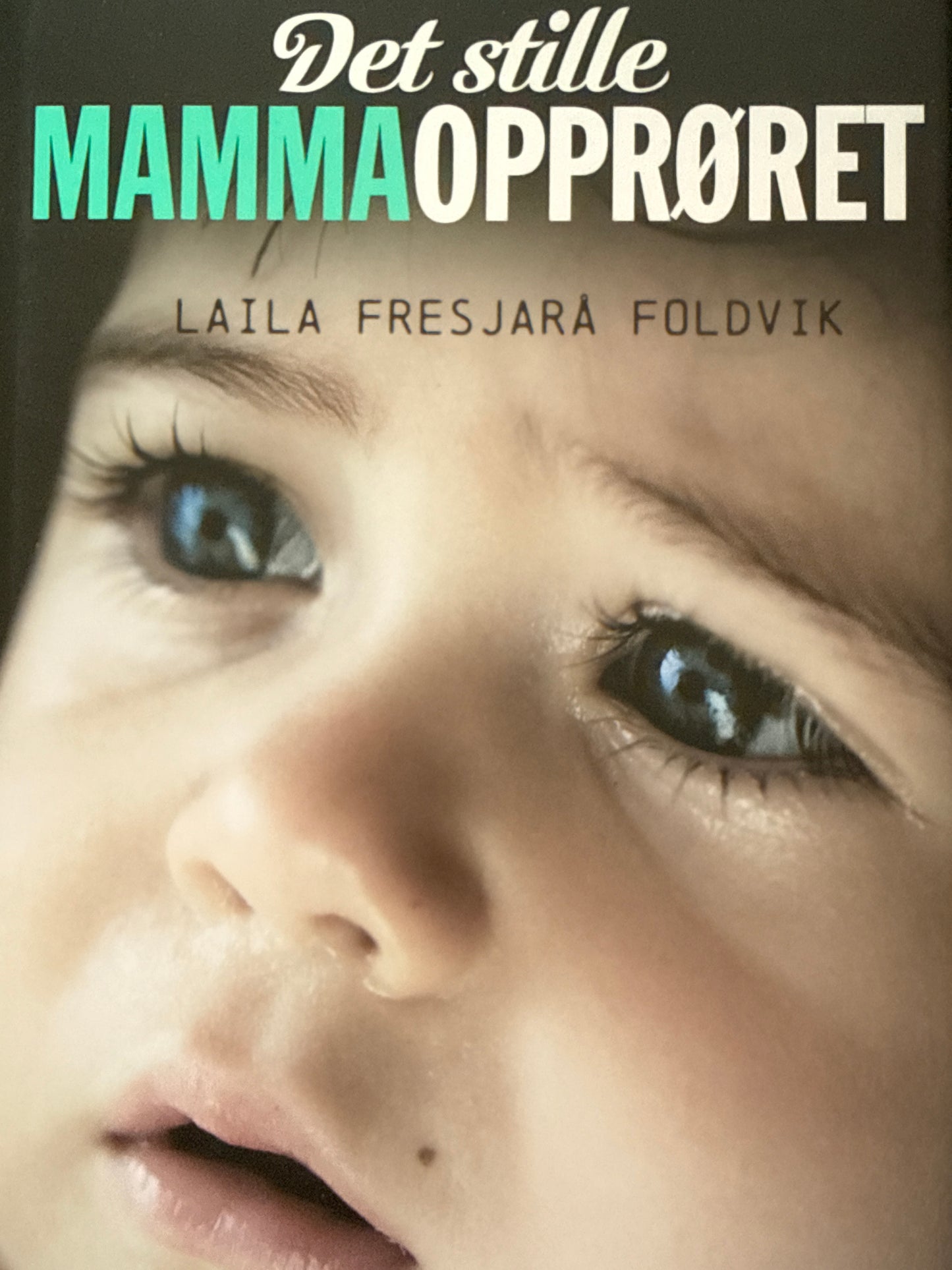 Det stille mammaopprøret - Innbundet
