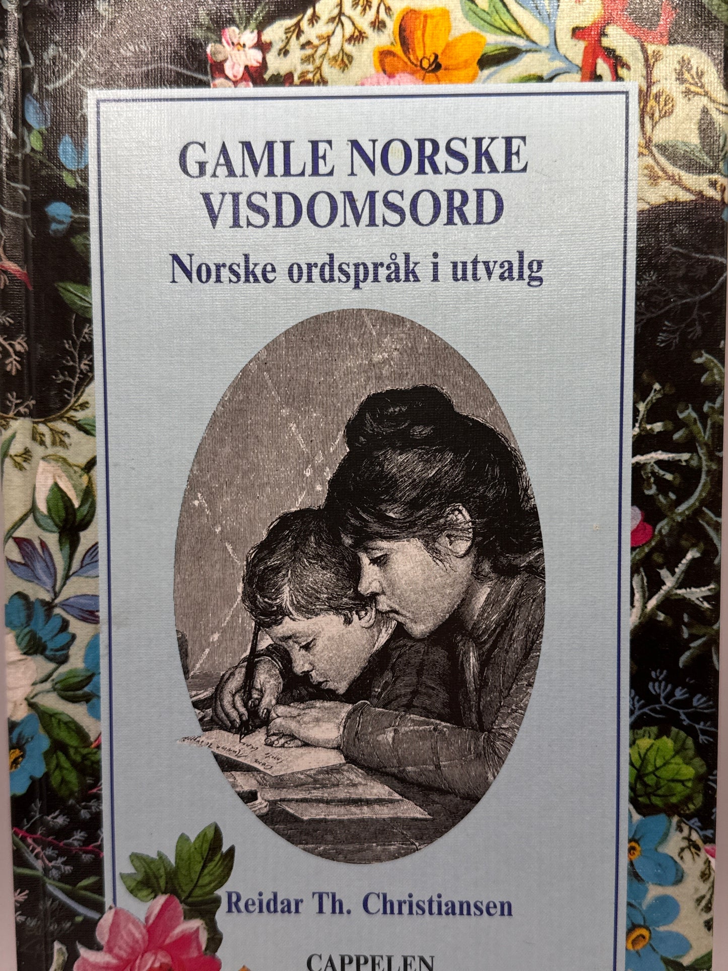 Gamle norske visdomsord - Innbundet