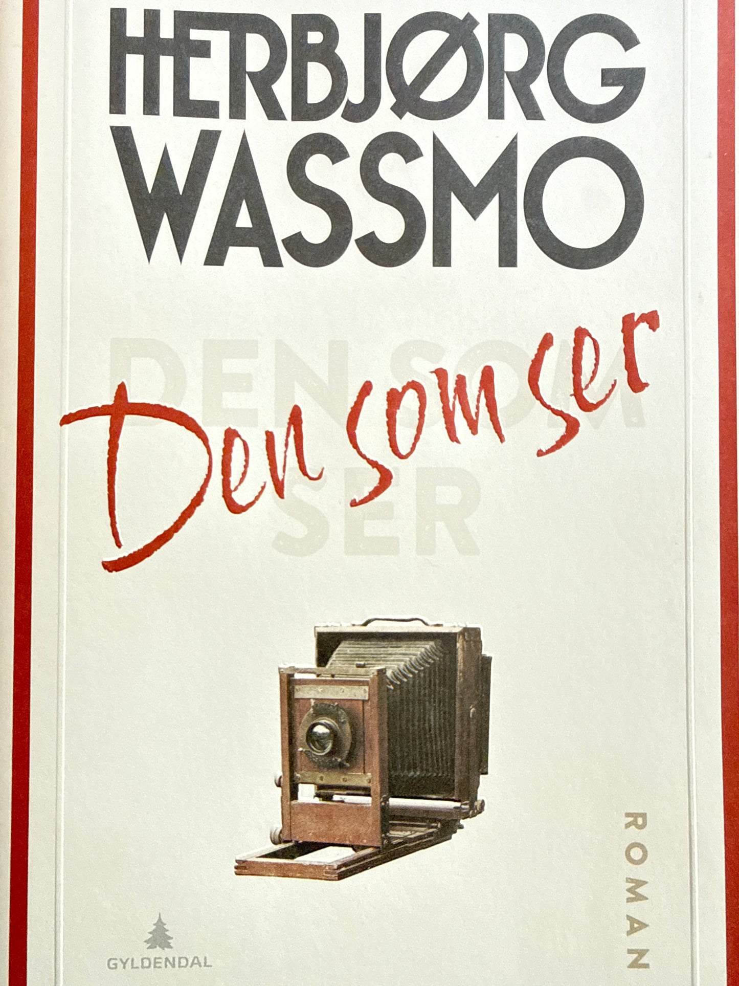 Den som ser - Innbundet