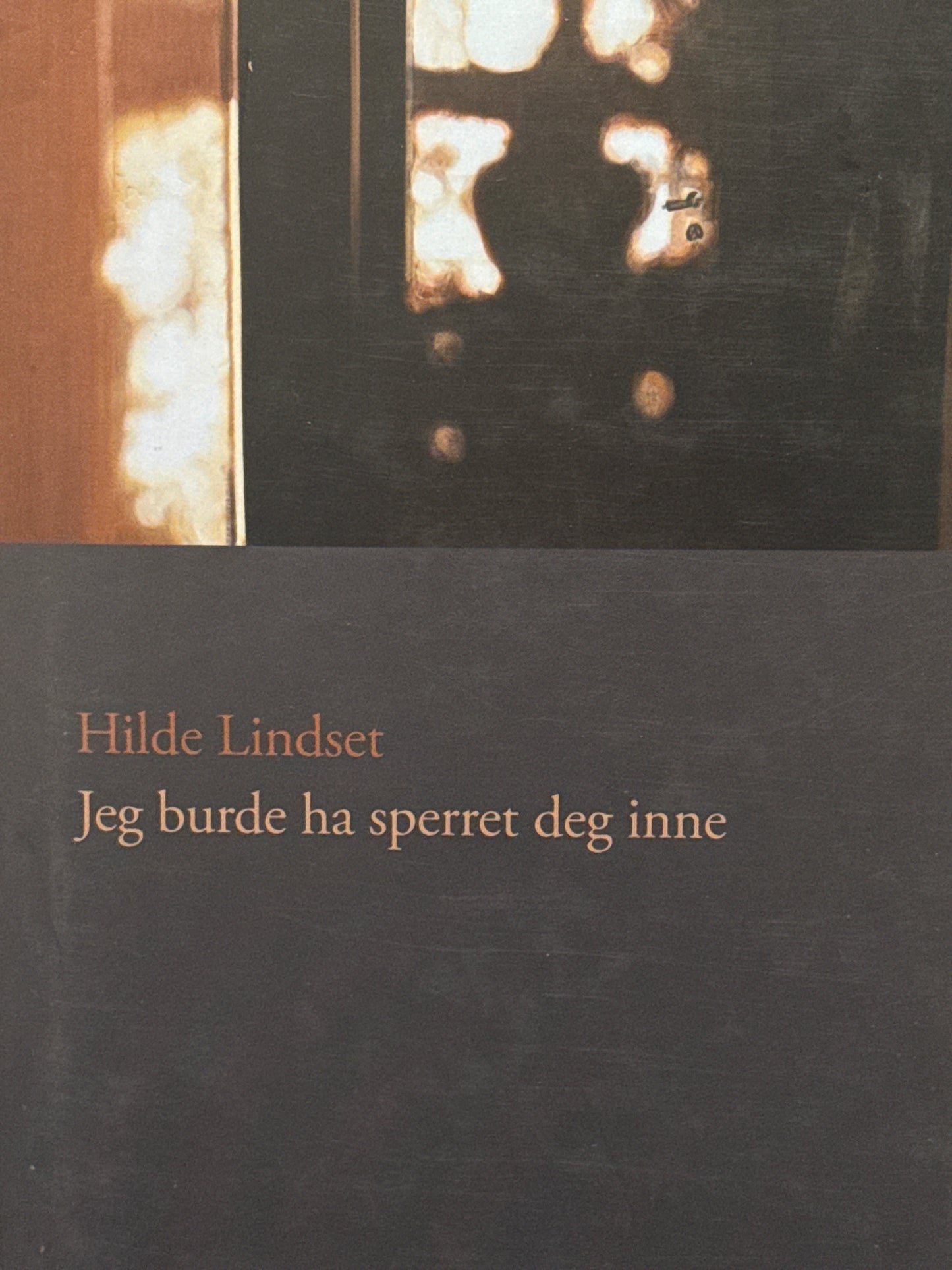 Jeg burde ha sperret deg inne - Innbundet