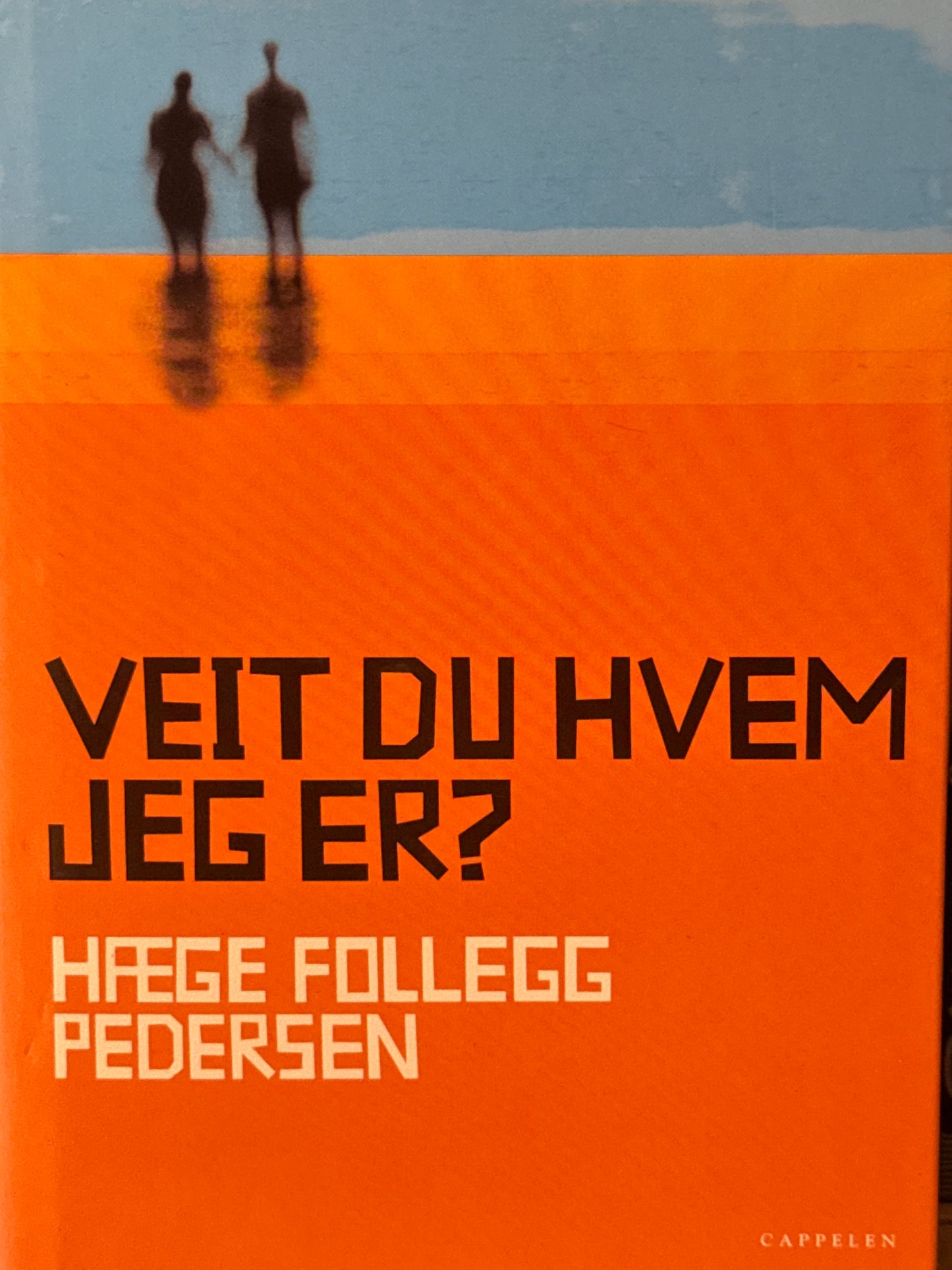 Veit du hvem jeg er? - Innbundet