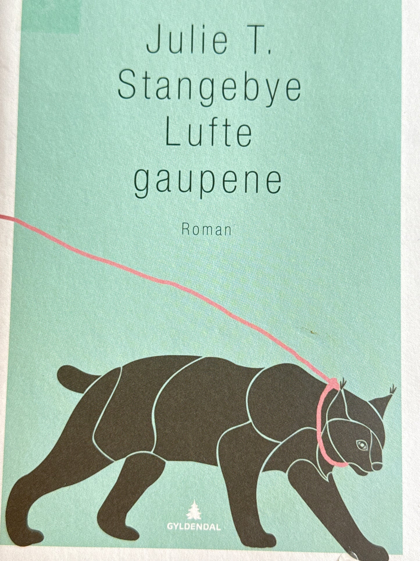 Lufte gaupene - Innbundet