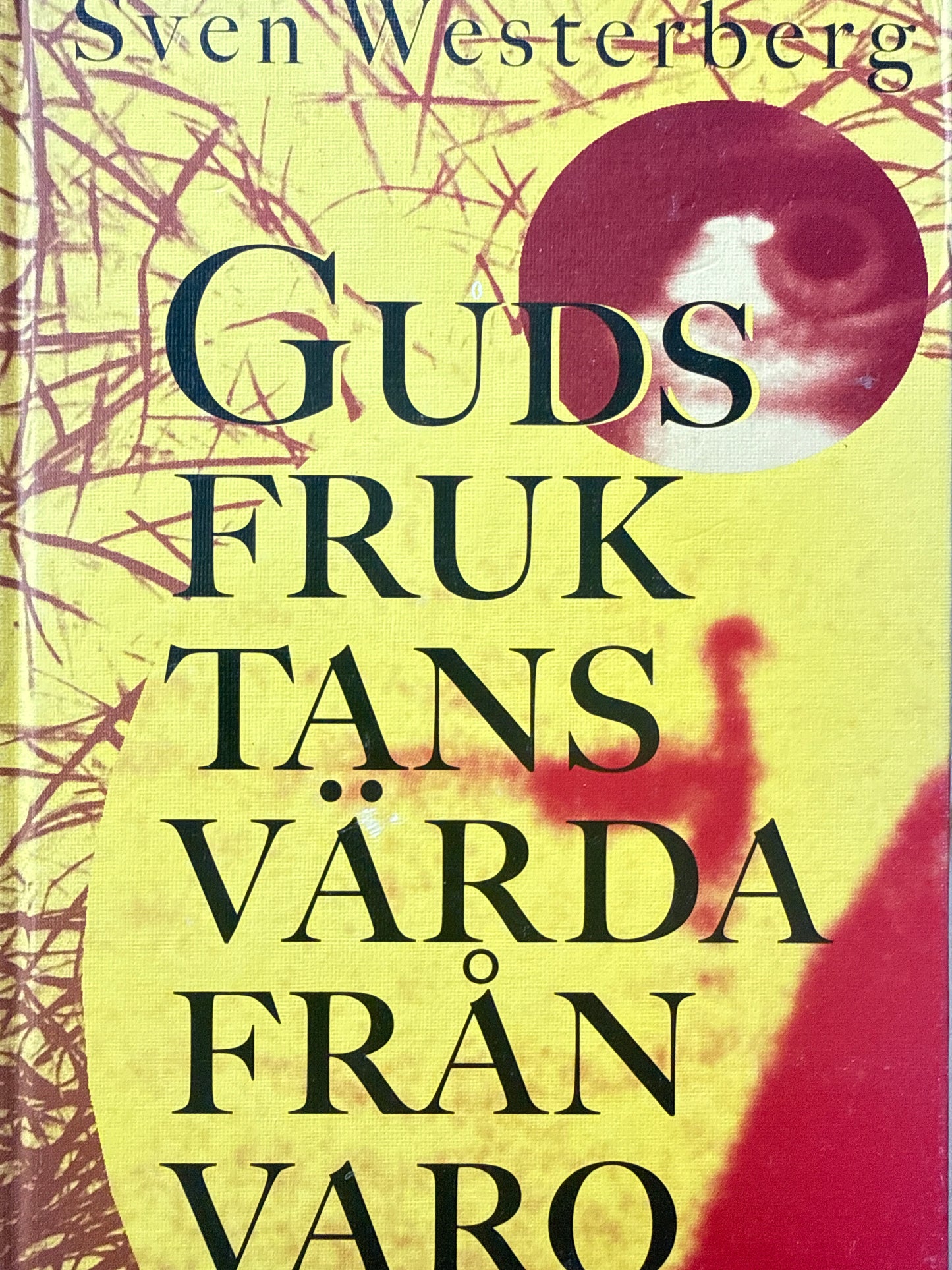 Guds fruktansvärda frånvaro - Innbundet