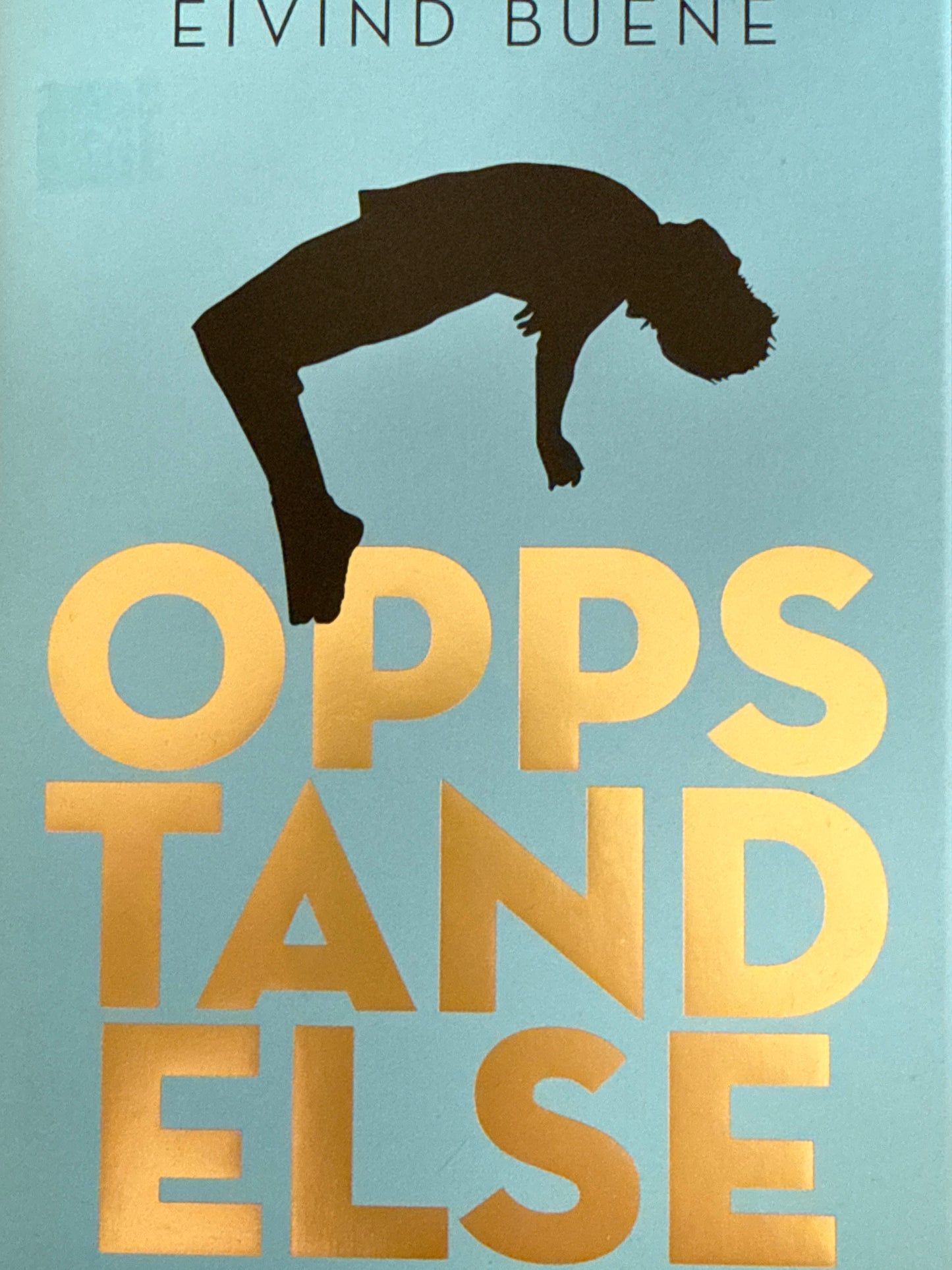 Oppstandelse - Innbundet