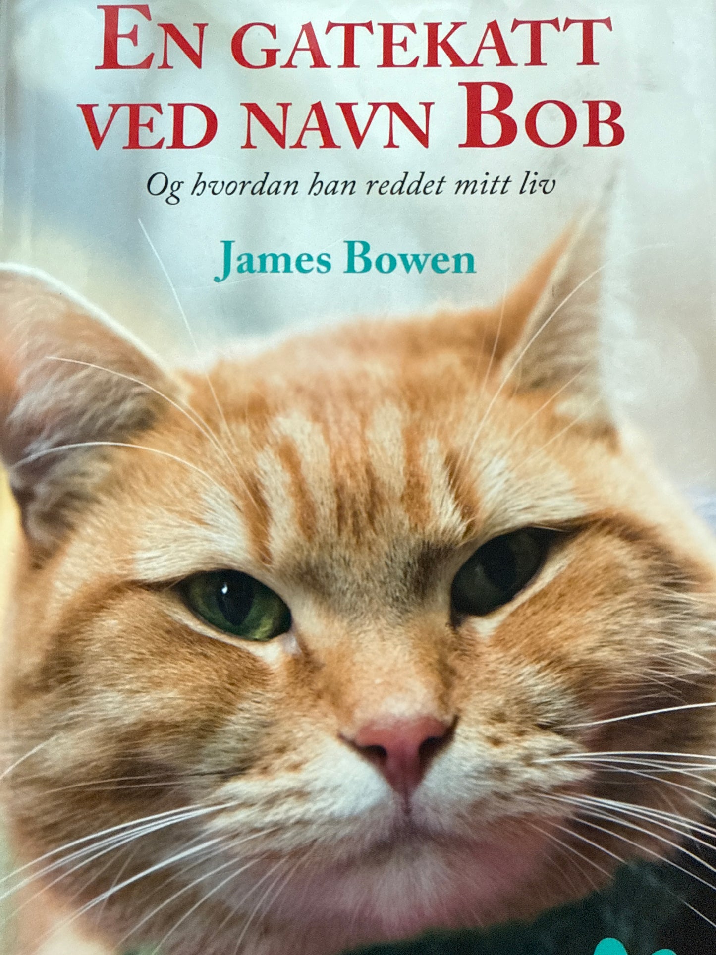 En gatekatt ved navn Bob - Innbundet