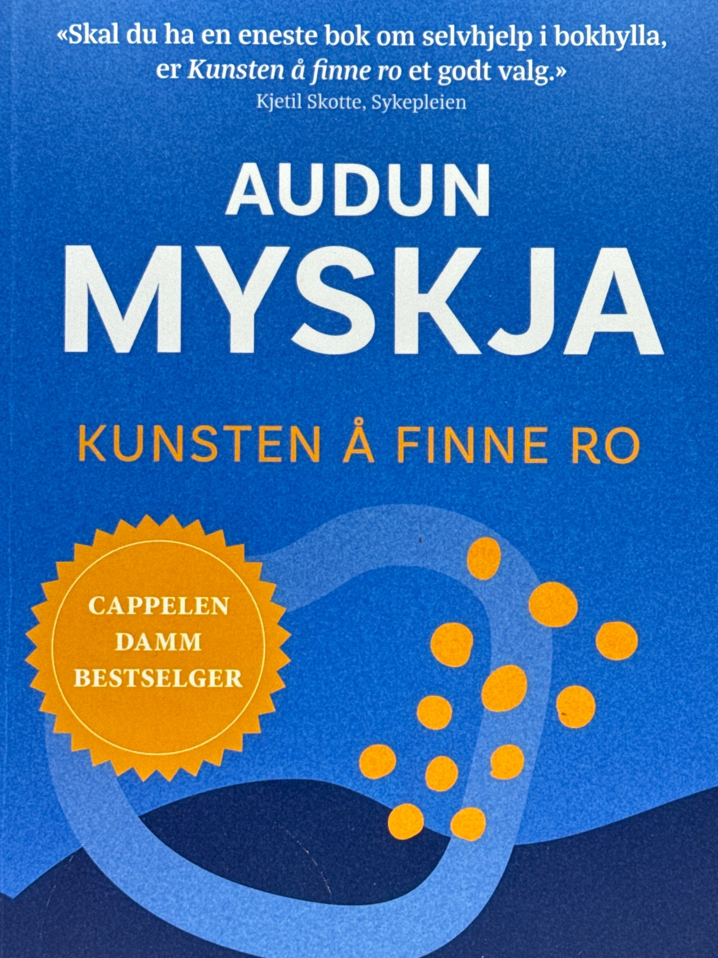 Kunsten å finne ro - Pocket
