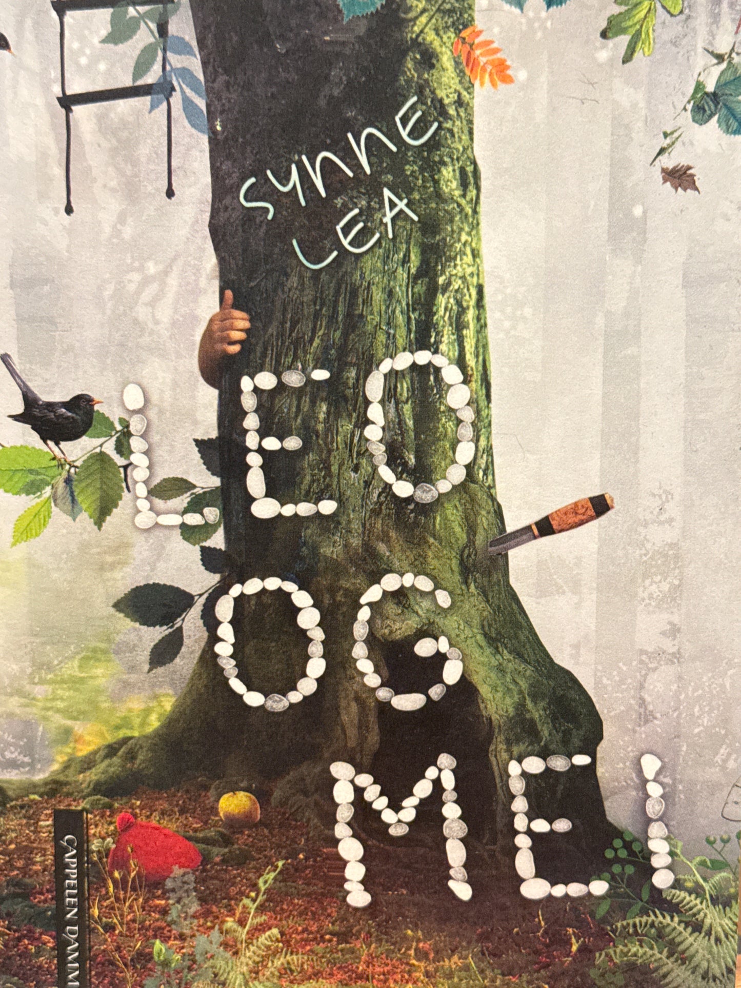 Leo og Mei - Innbundet