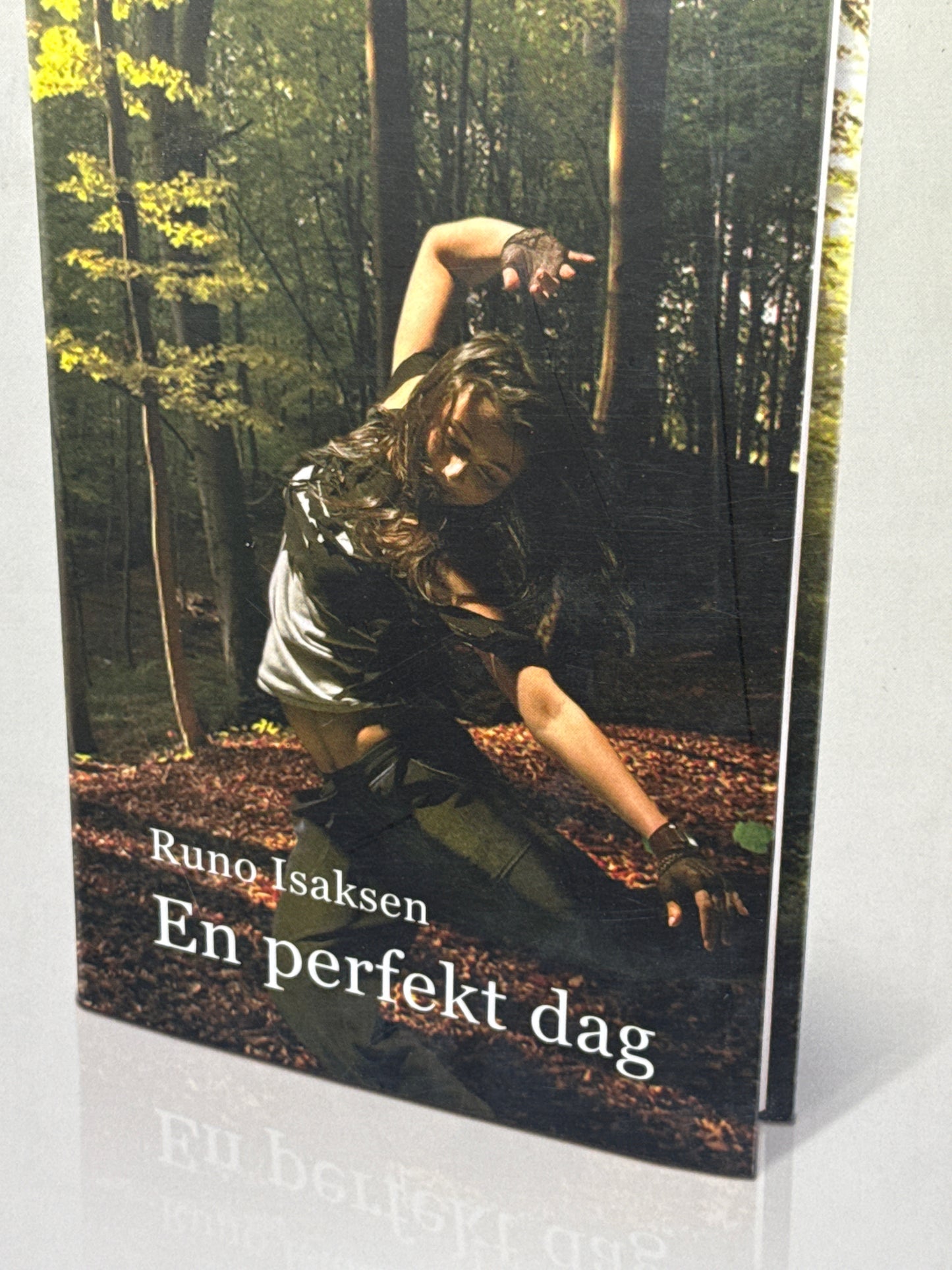 En perfekt dag - Innbundet